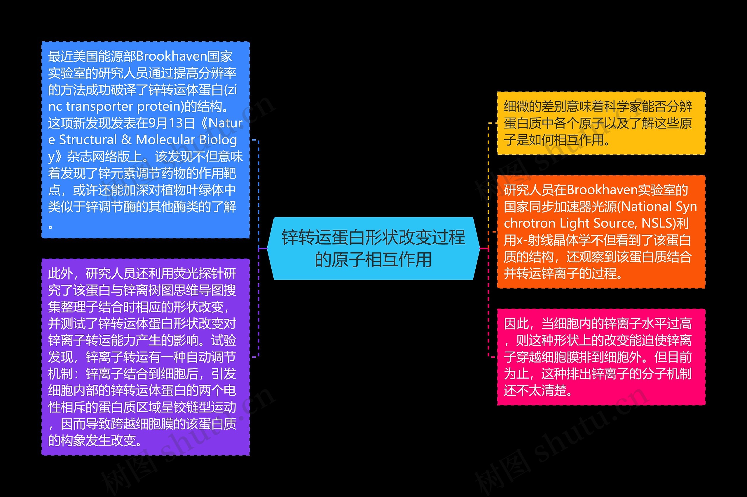 锌转运蛋白形状改变过程的原子相互作用 锌转运蛋白形状改变过程的原子相互作用