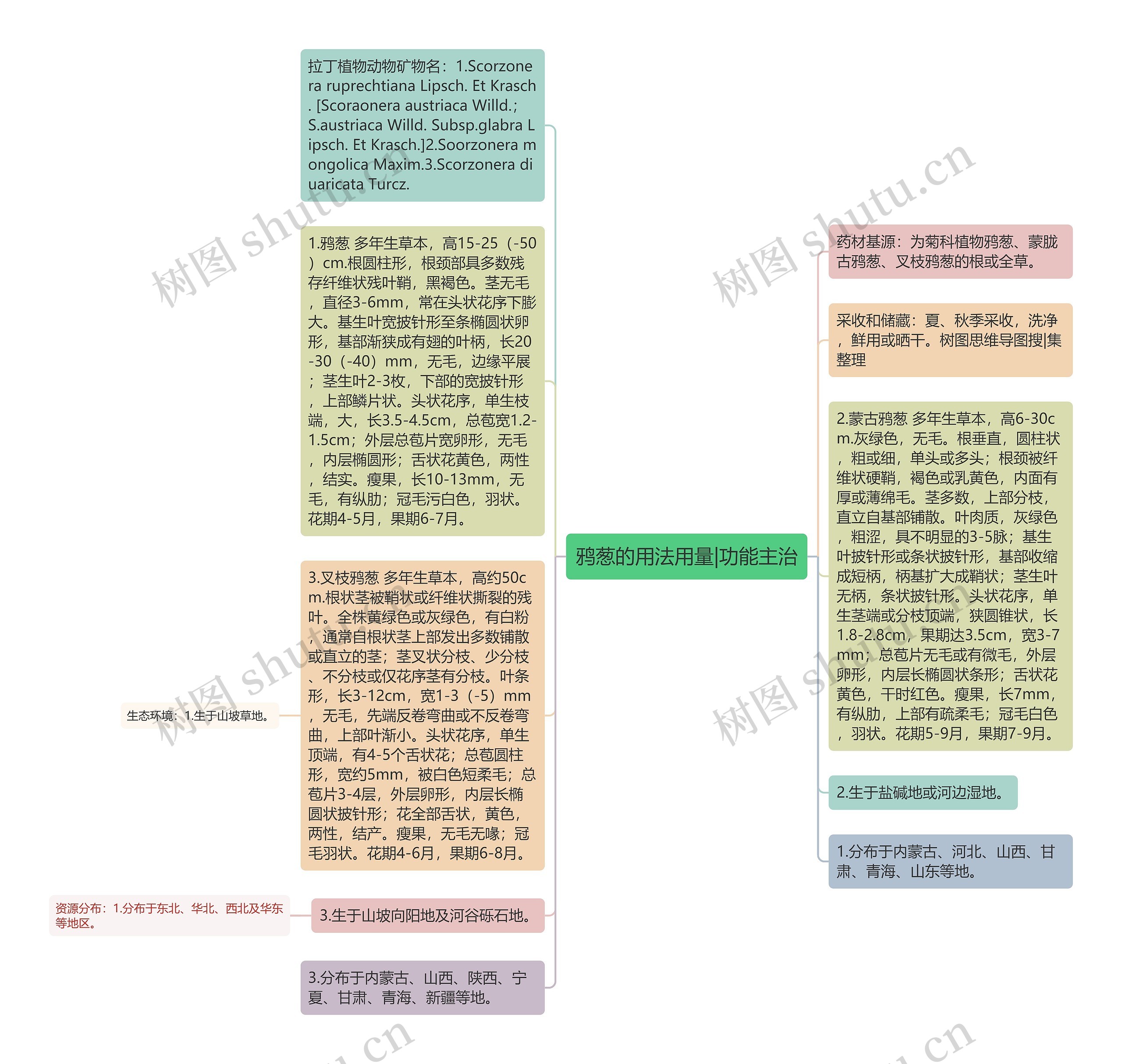 鸦葱的用法用量|功能主治思维导图