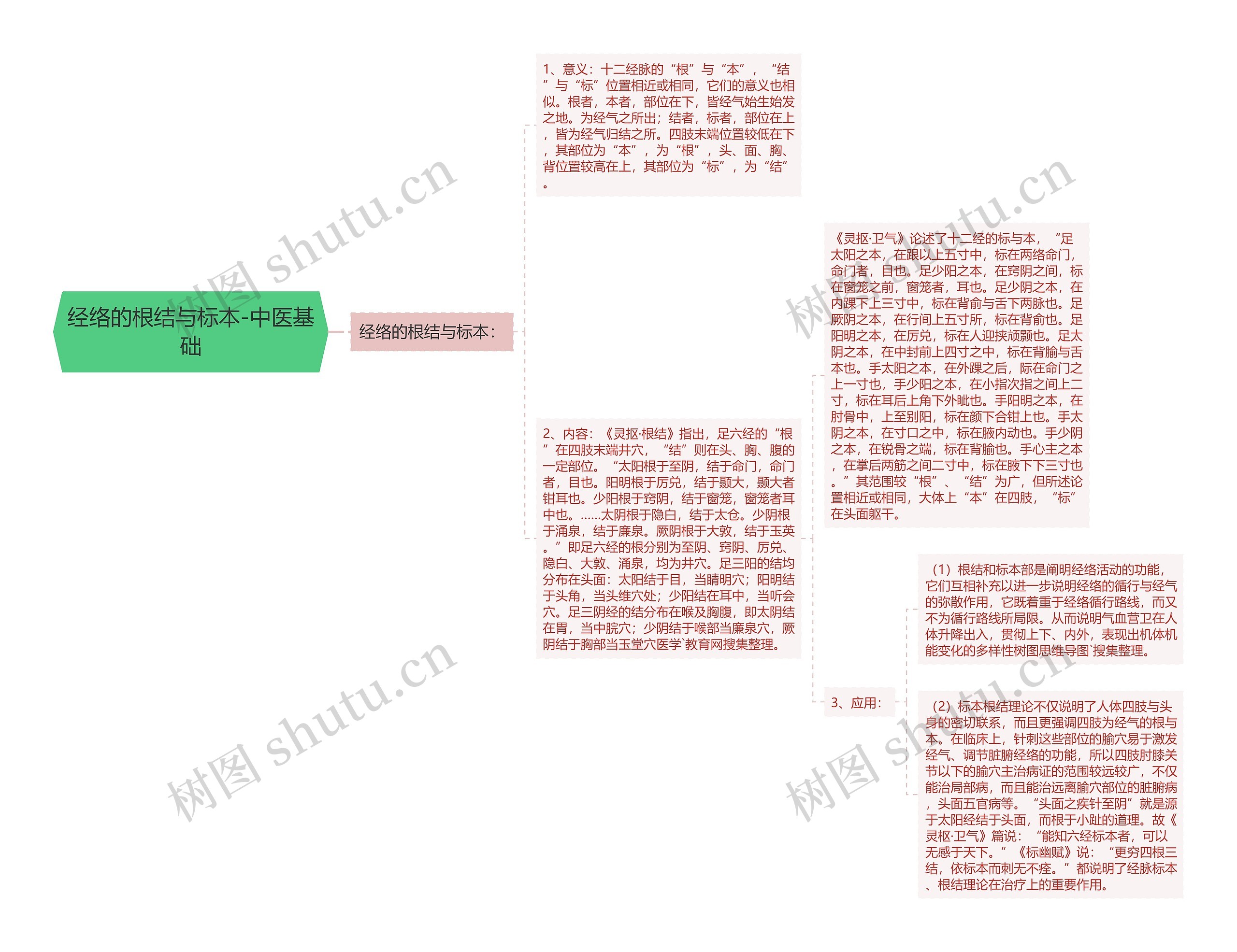 经络的根结与标本-中医基础思维导图