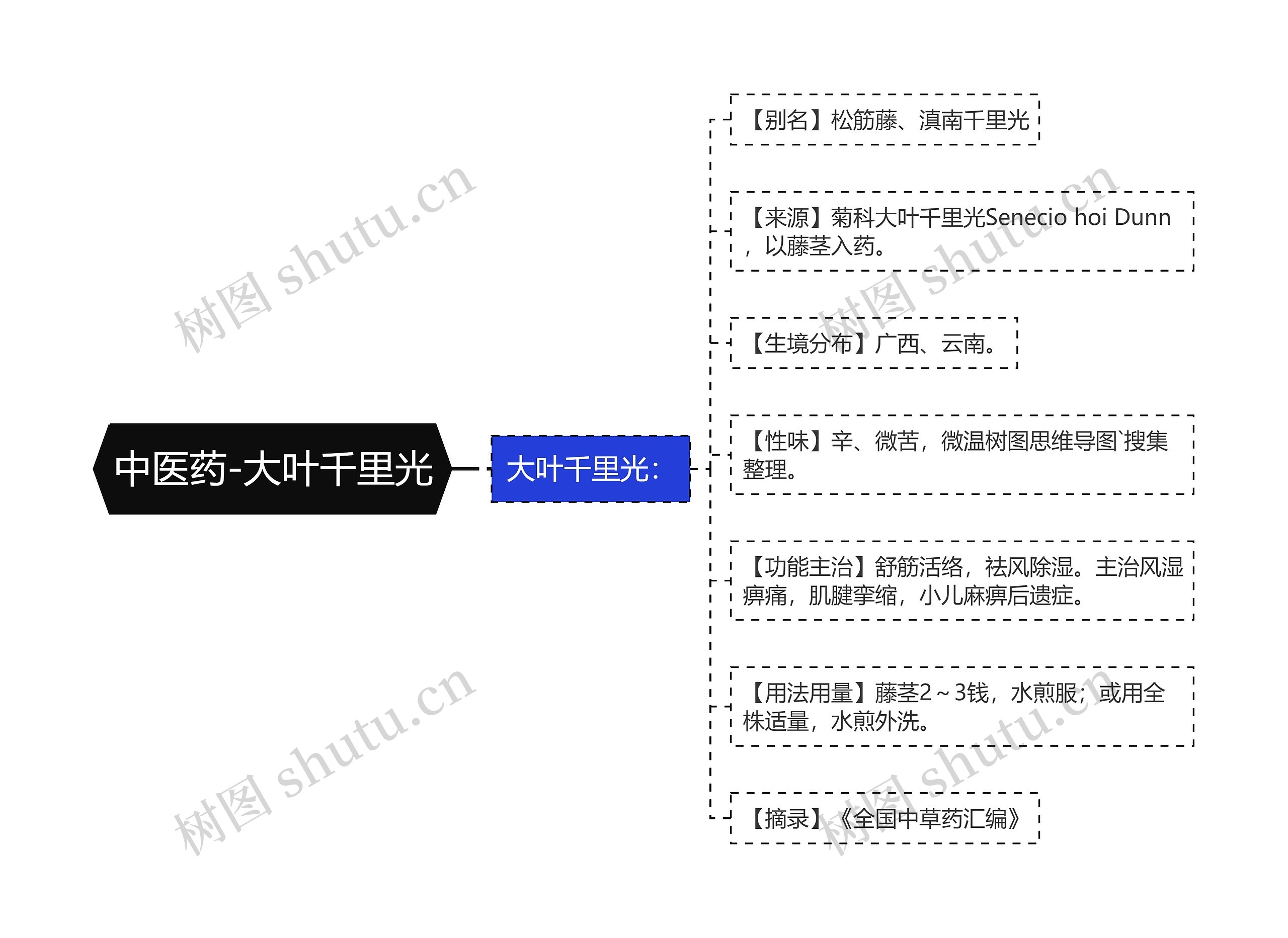 中医药-大叶千里光思维导图