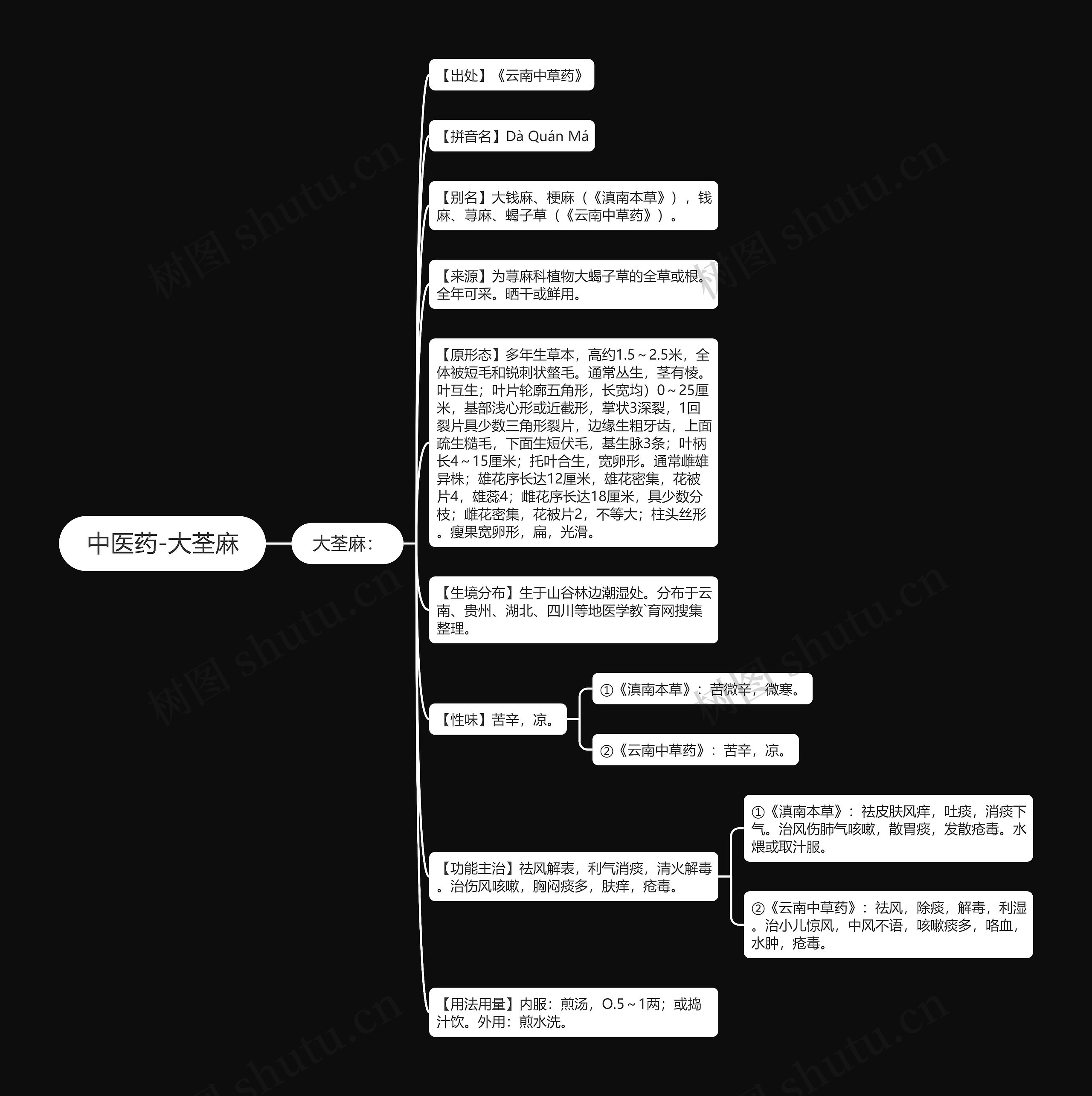 中医药-大荃麻 中医药-大荃麻