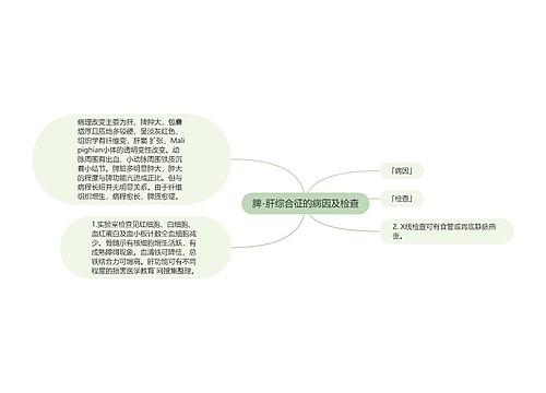 脾-肝综合征的病因及检查