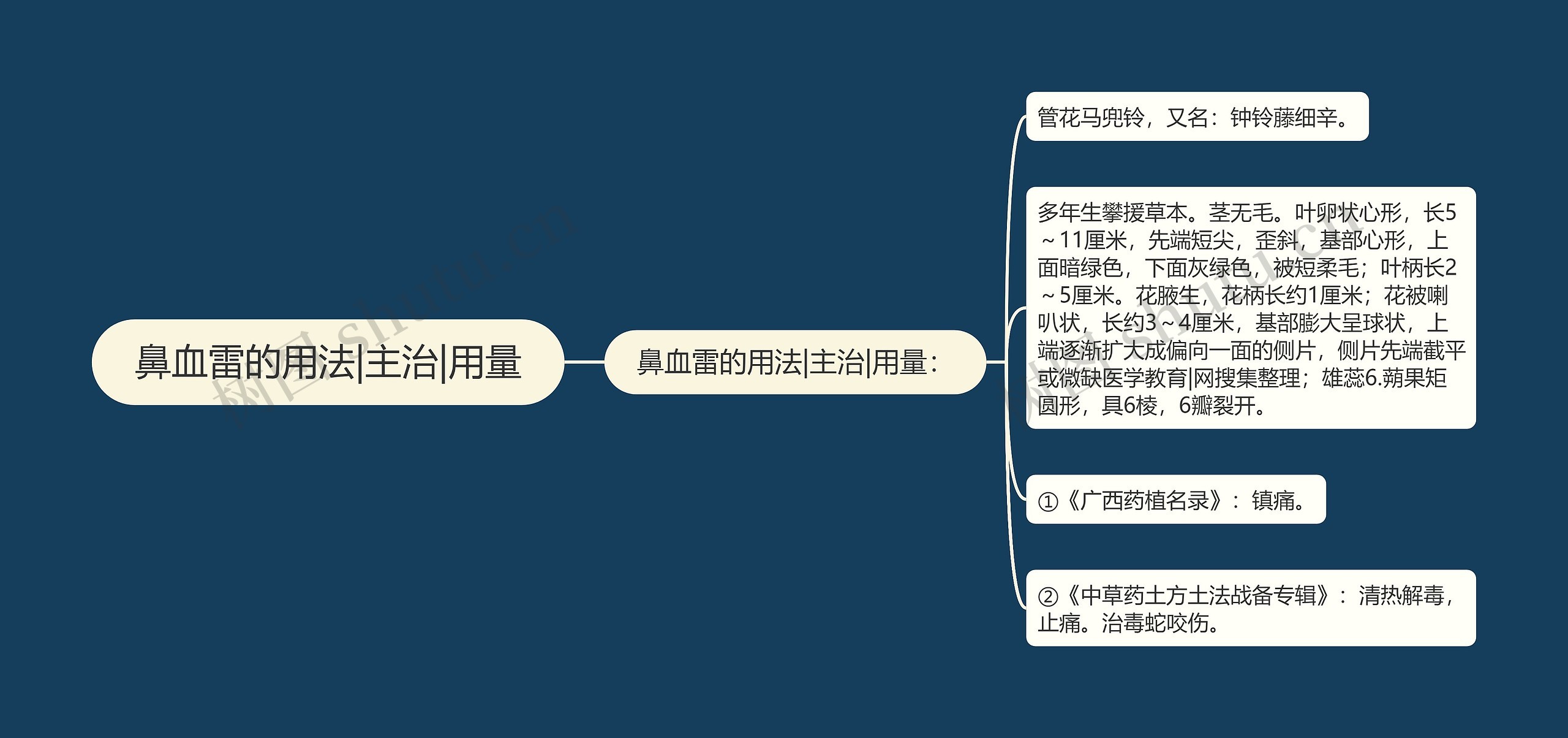 鼻血雷的用法|主治|用量