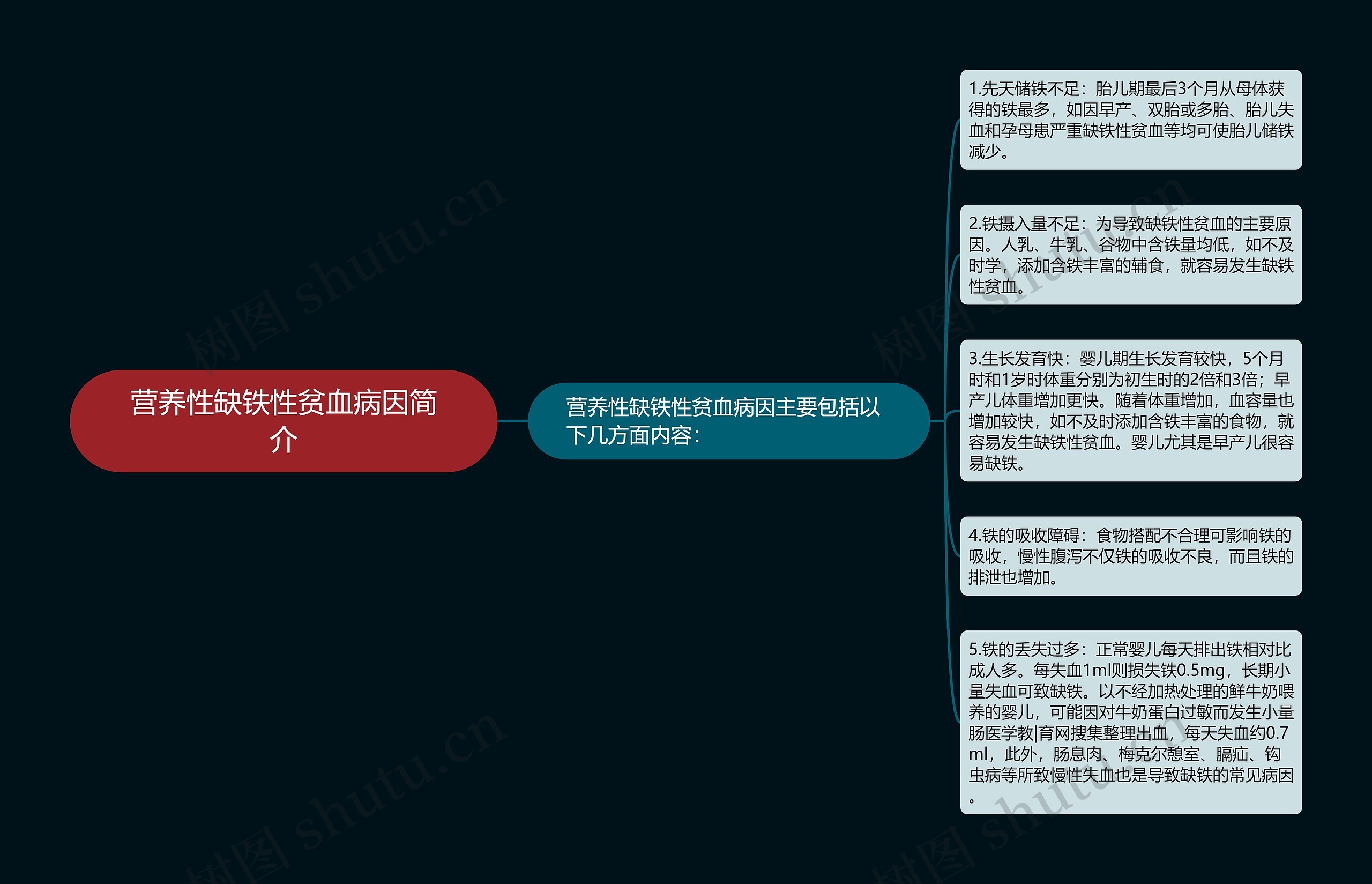 营养性缺铁性贫血病因简介思维导图