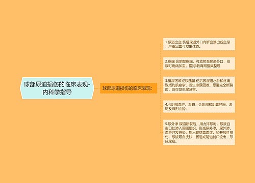 球部尿道损伤的临床表现-内科学指导