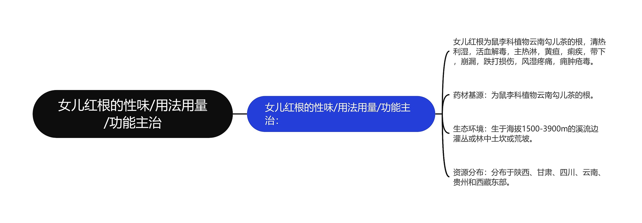 女儿红根的性味/用法用量/功能主治 女儿红根的性味/用法用量/功能主治