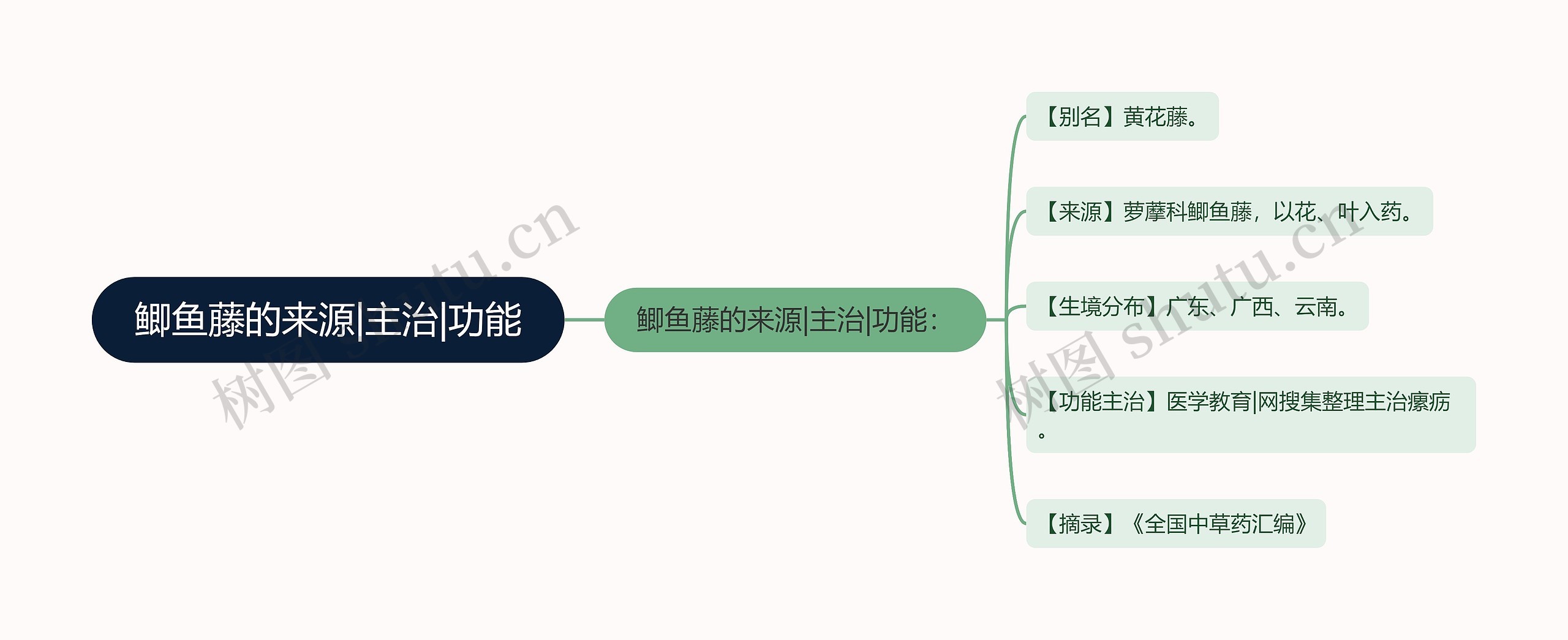 鲫鱼藤的来源|主治|功能