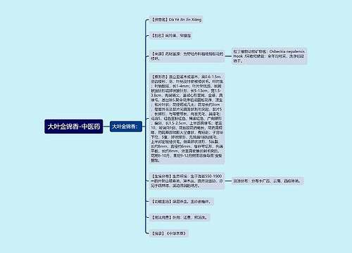 大叶金锦香-中医药