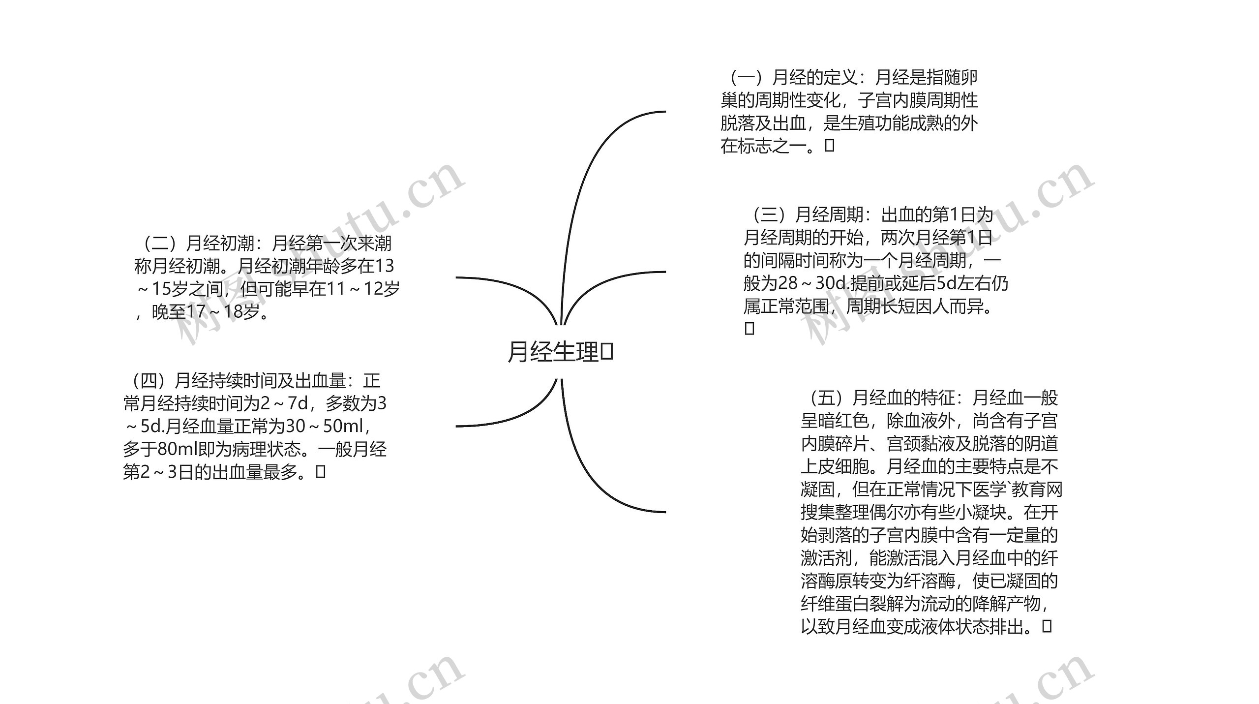 月经生理思维导图