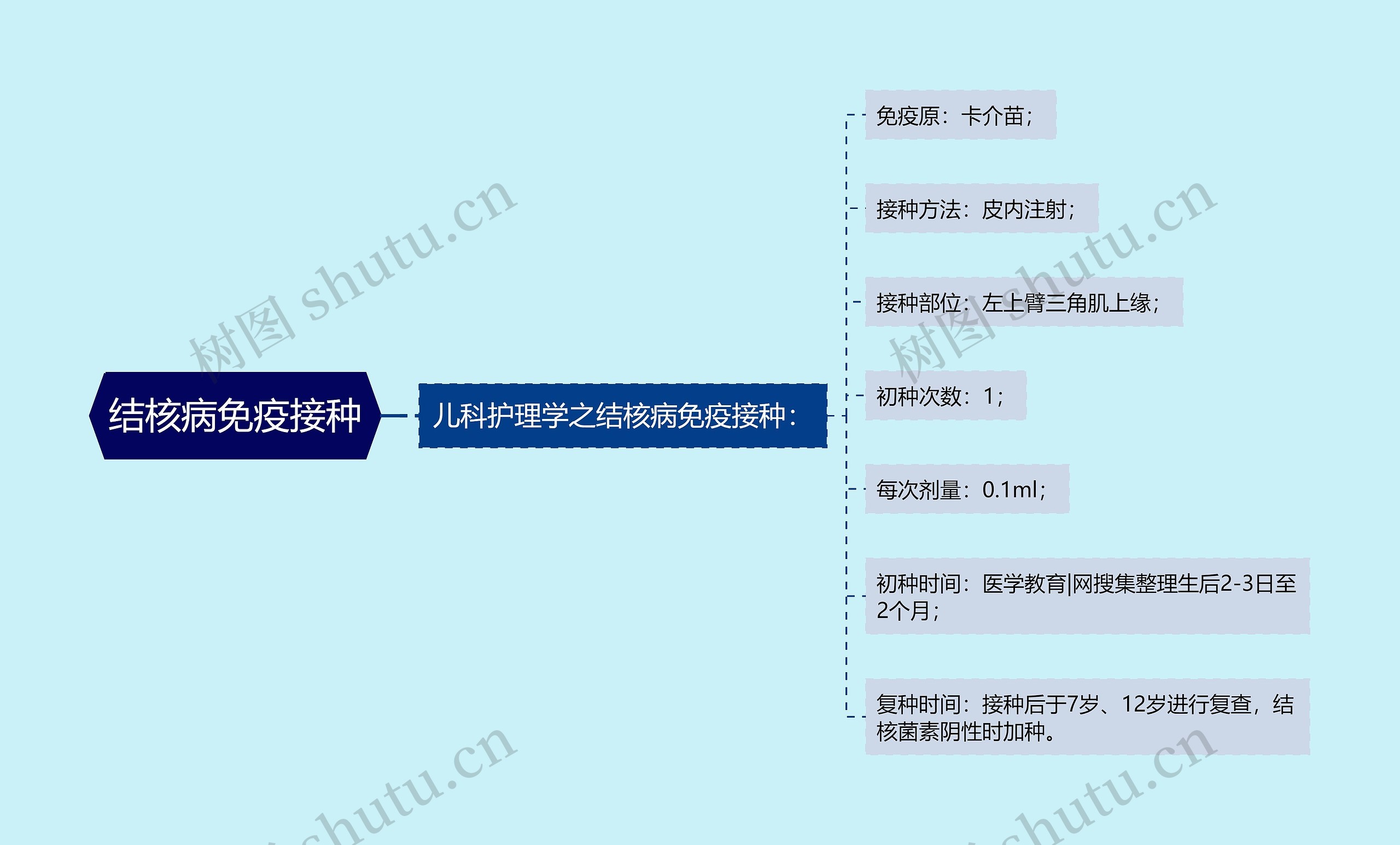 结核病免疫接种思维导图