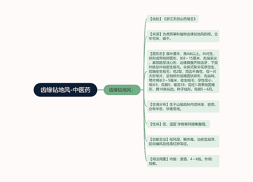 齿缘钻地风-中医药