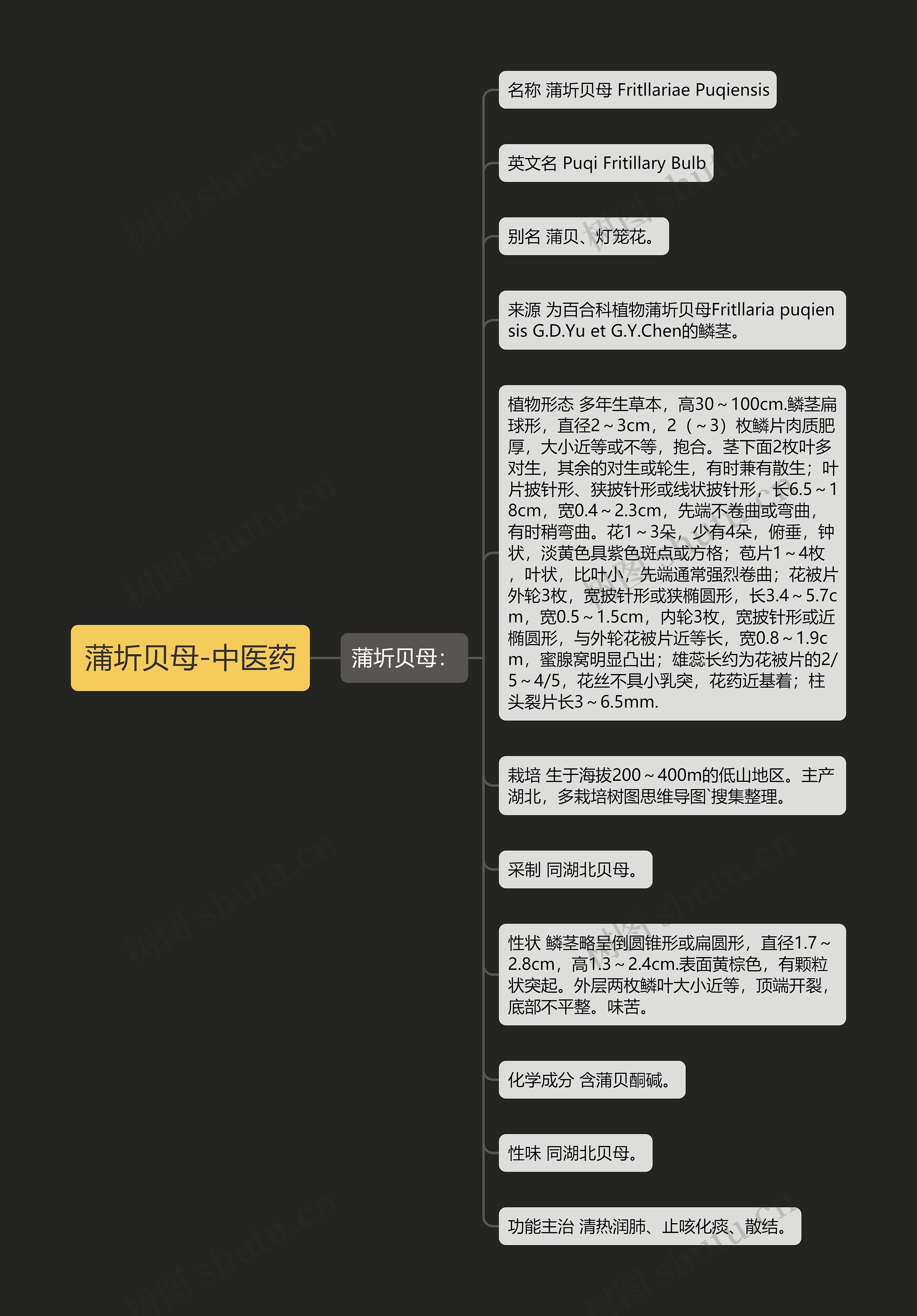 蒲圻贝母-中医药