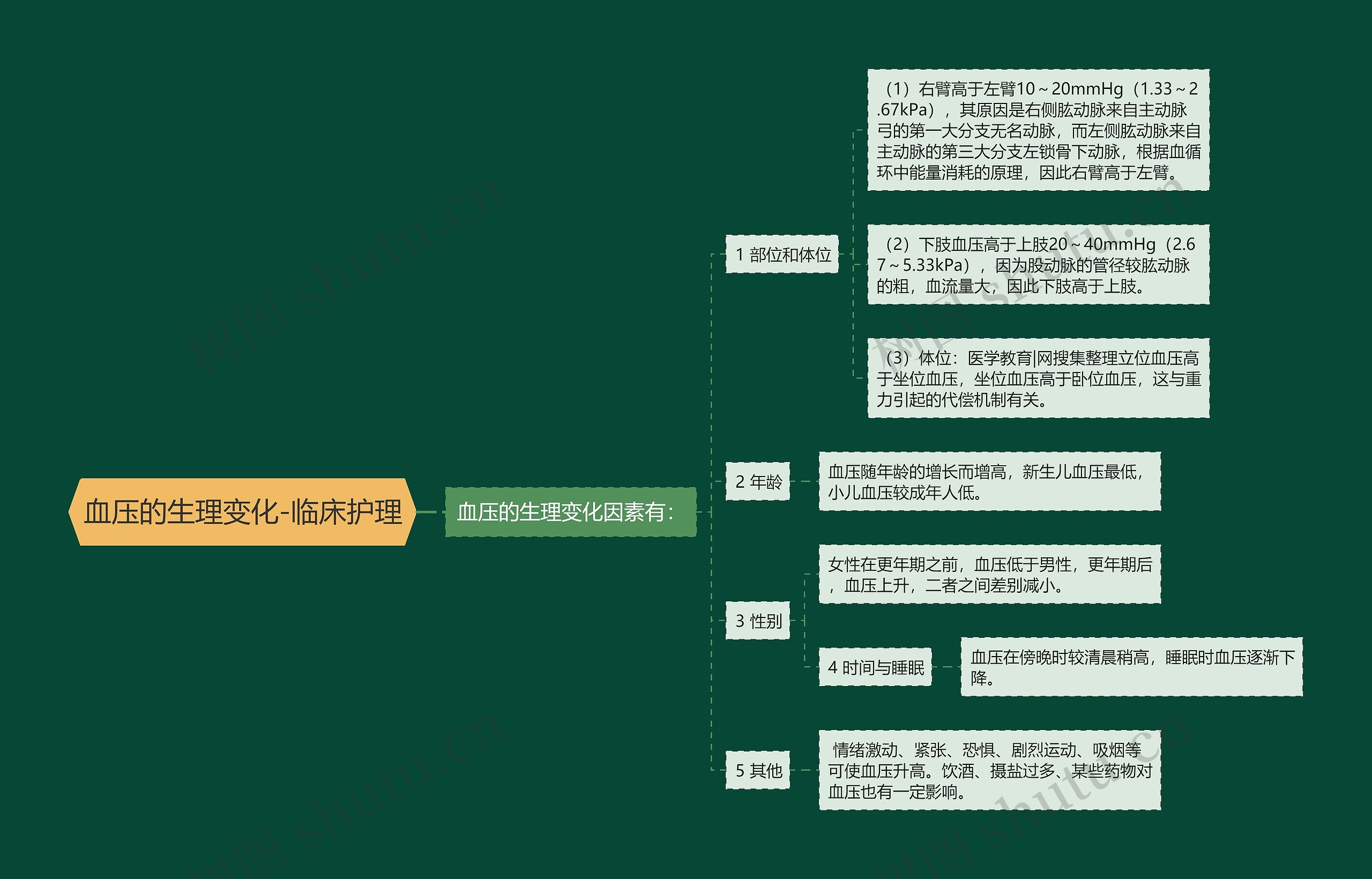 血压的生理变化-临床护理 血压的生理变化-临床护理