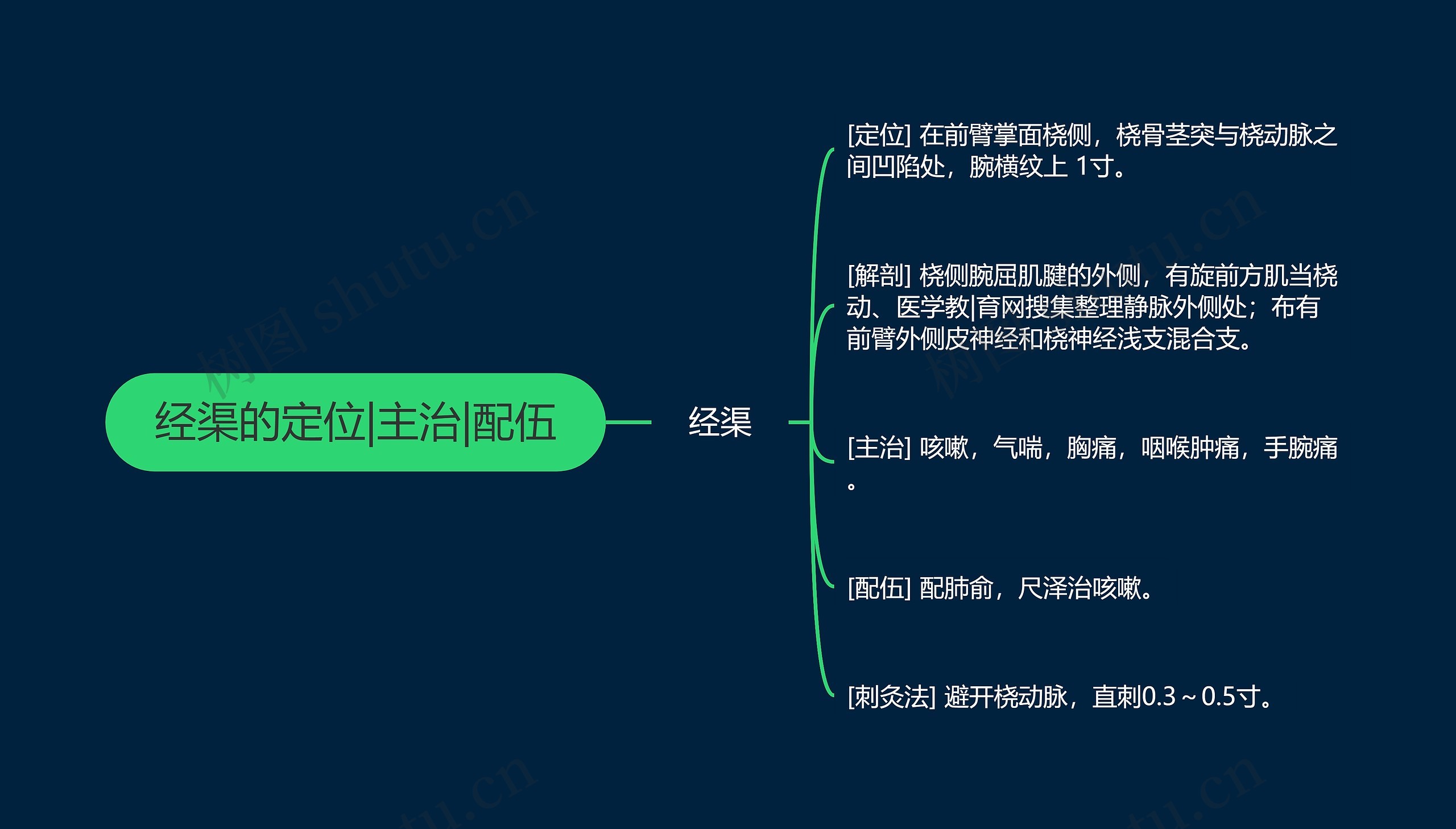 经渠的定位|主治|配伍思维导图