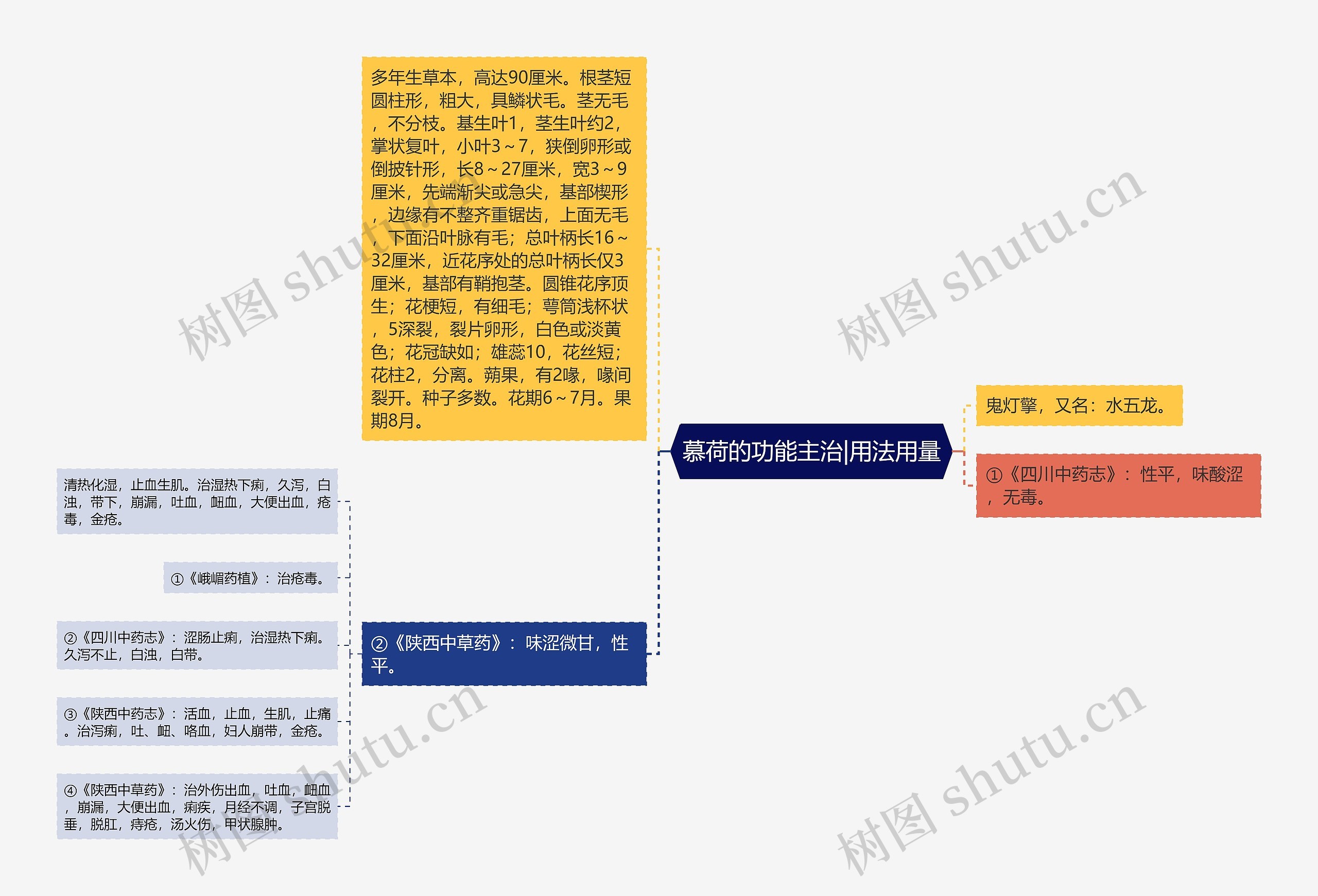 慕荷的功能主治|用法用量 慕荷的功能主治|用法用量