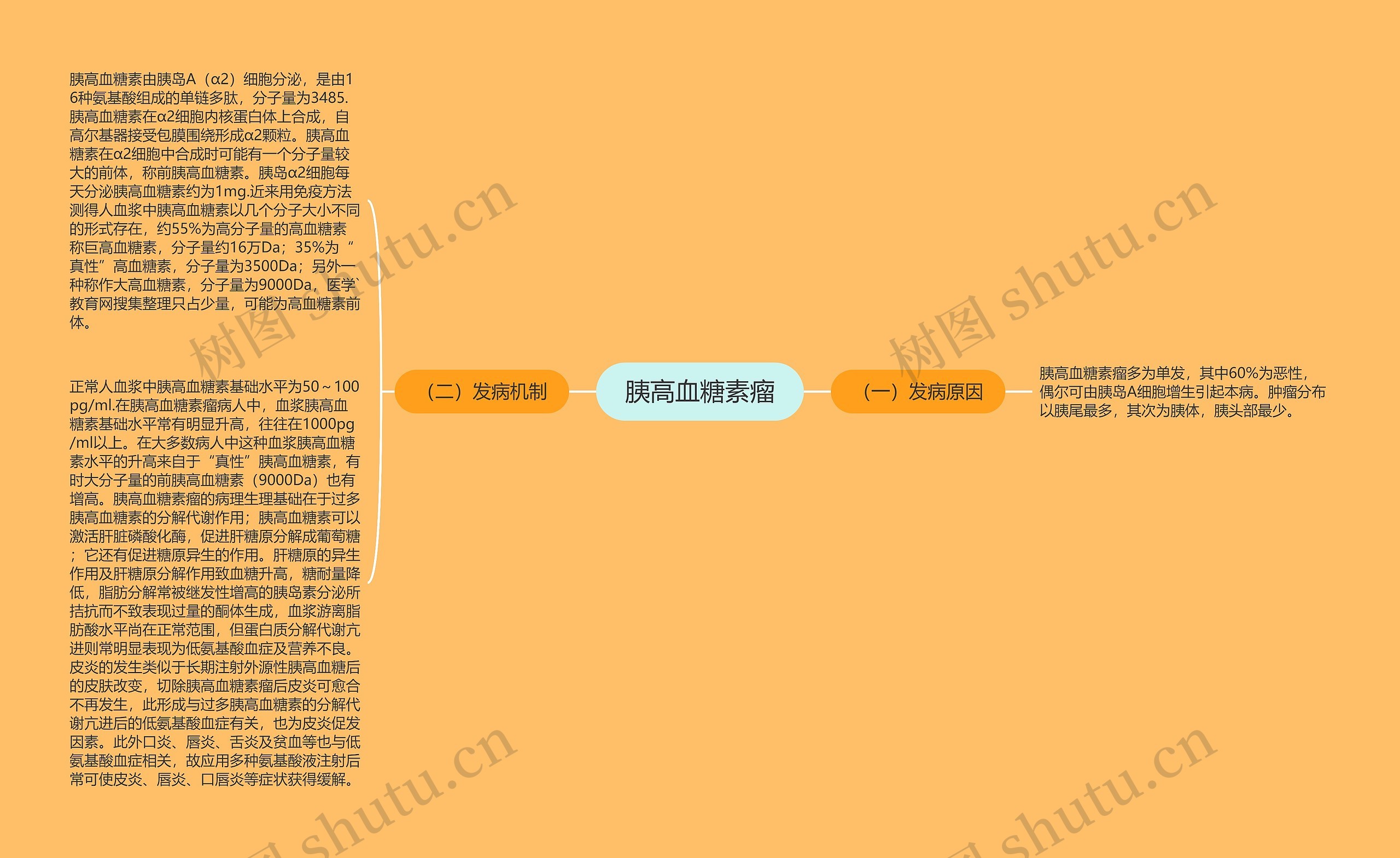 胰高血糖素瘤思维导图