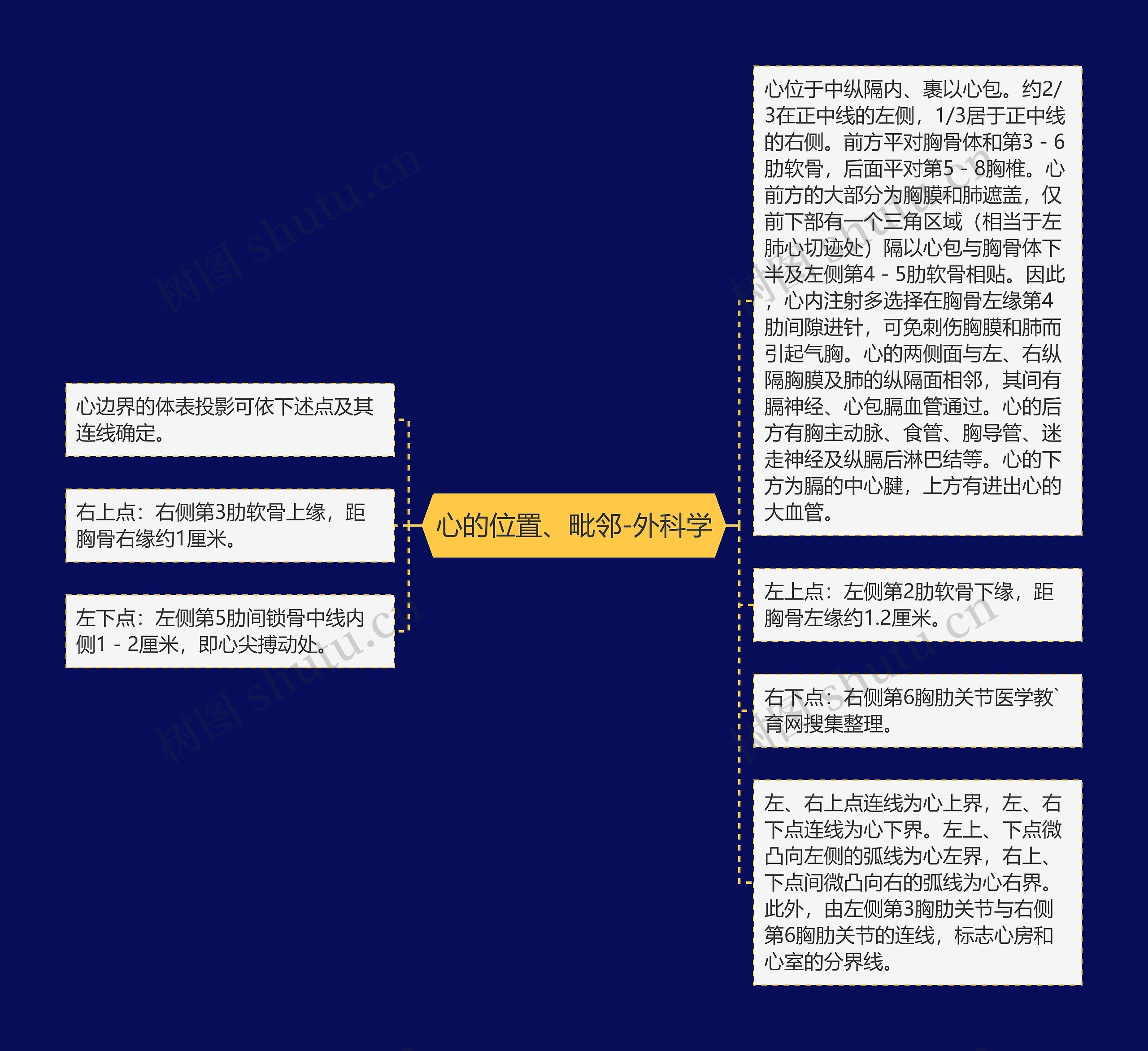 心的位置、毗邻-外科学思维导图