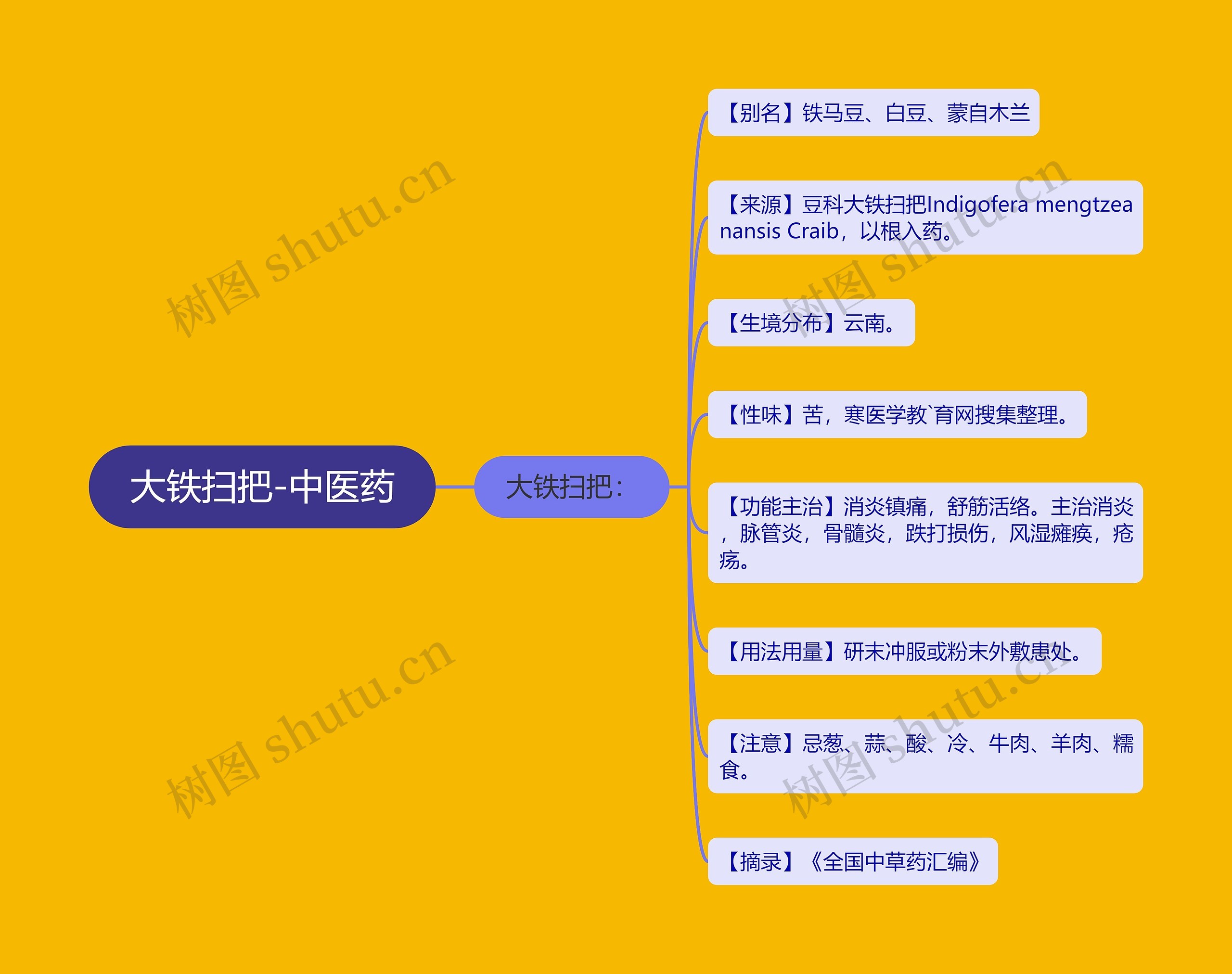 大铁扫把-中医药思维导图