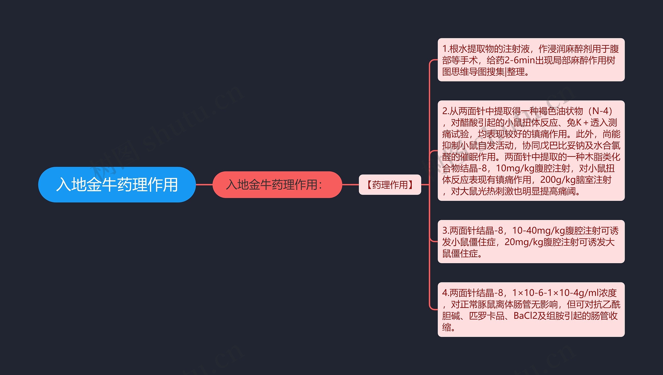 入地金牛药理作用思维导图