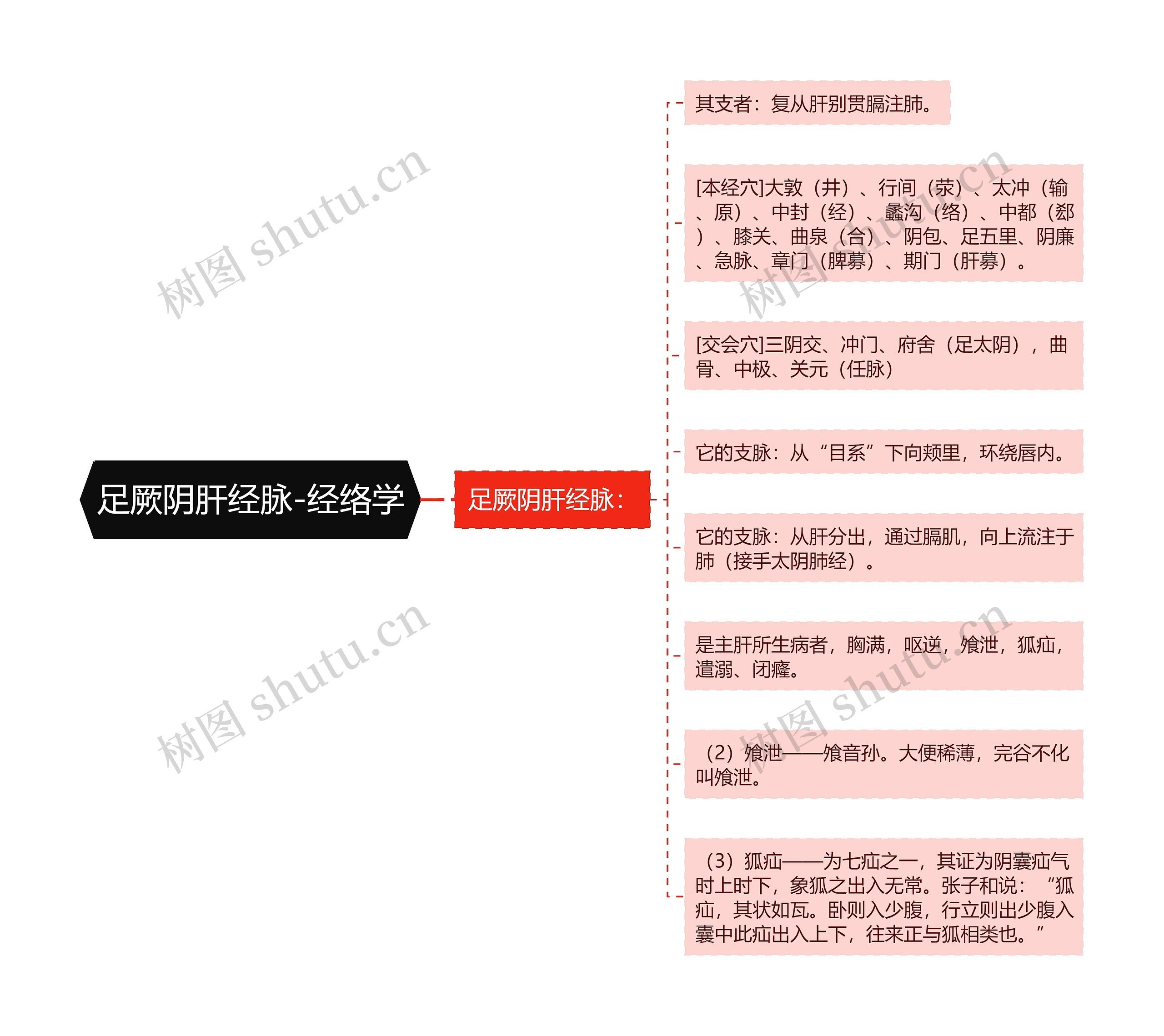 足厥阴肝经脉-经络学思维导图