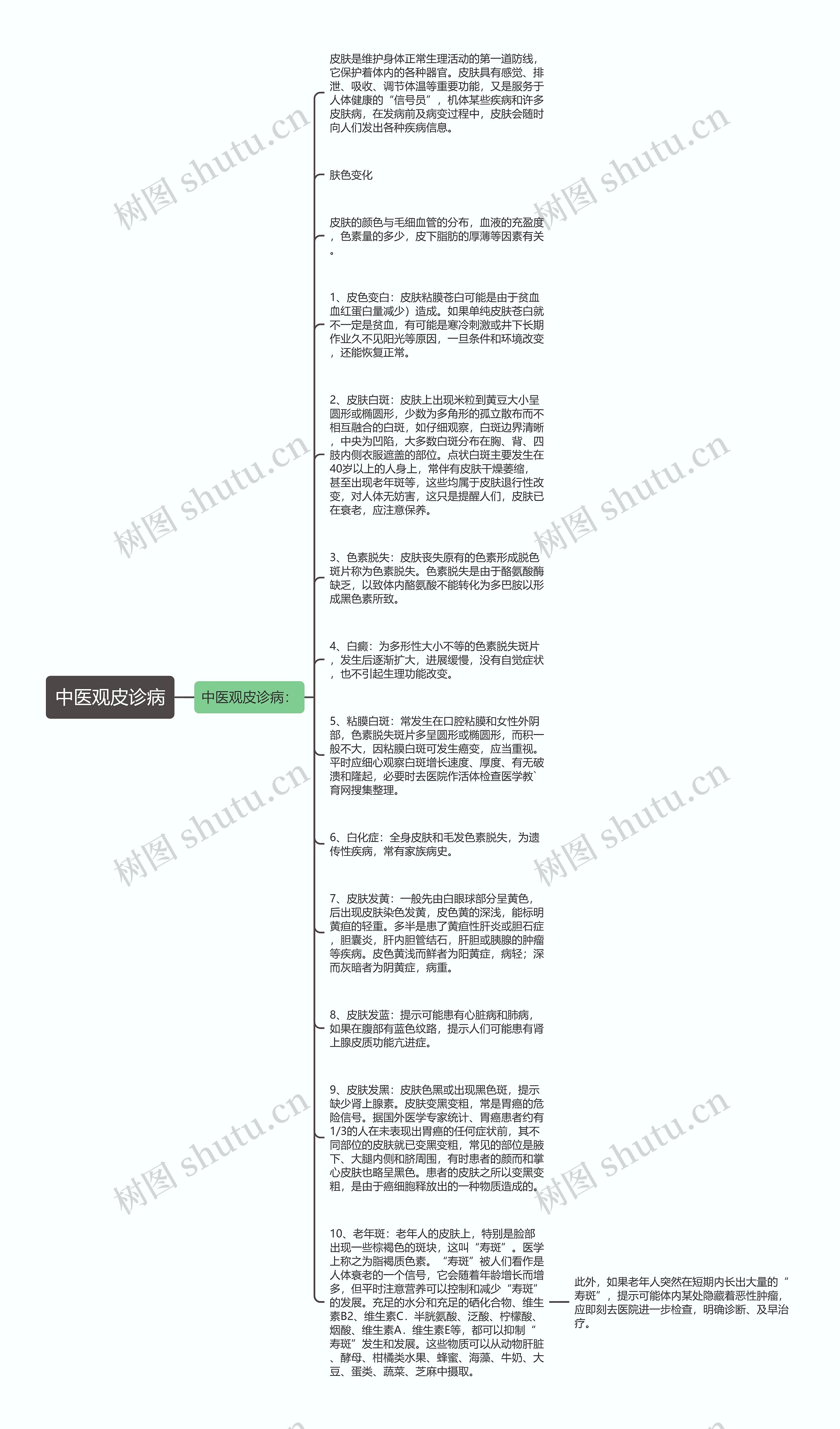 中医观皮诊病思维导图