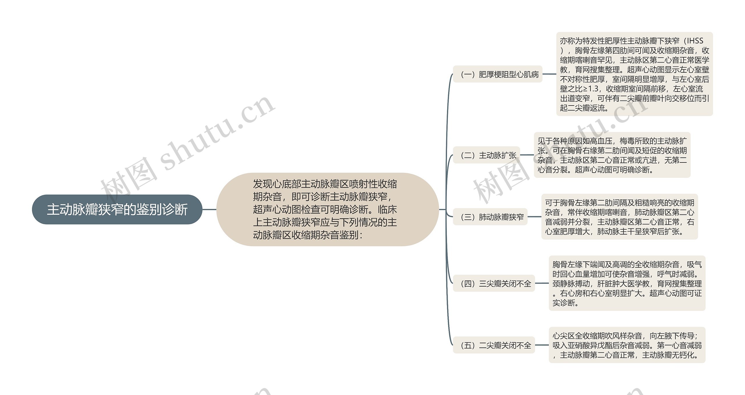 主动脉瓣狭窄的鉴别诊断思维导图