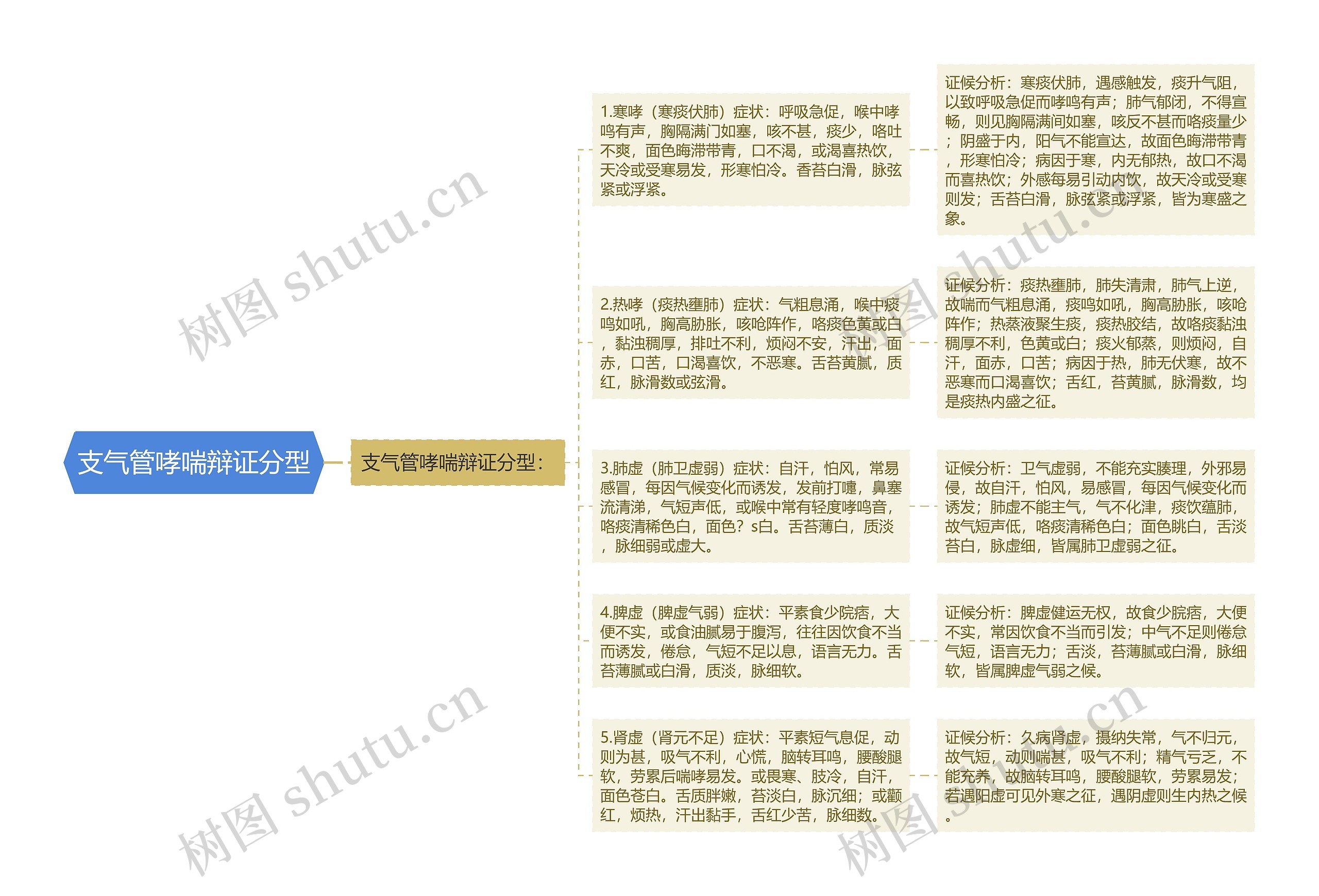支气管哮喘辩证分型