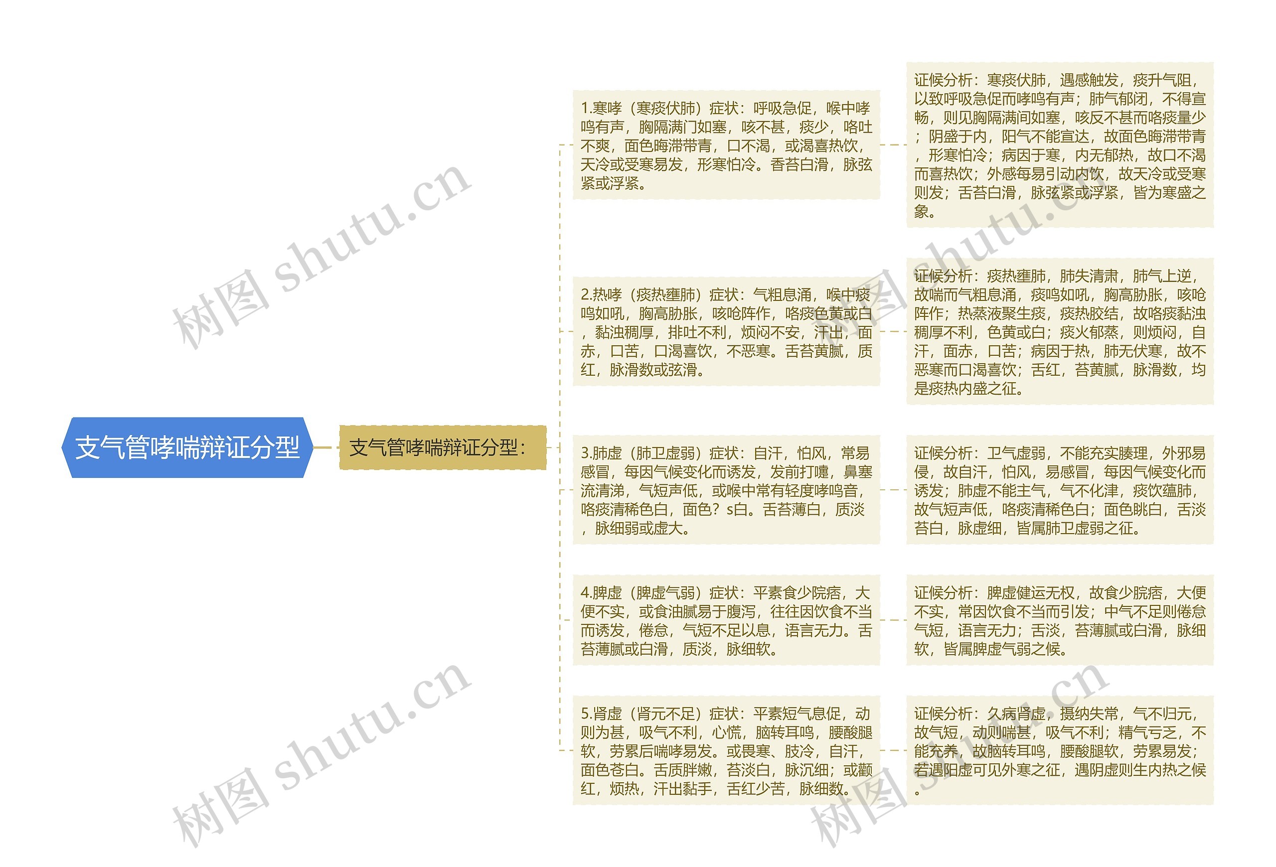 支气管哮喘辩证分型思维导图