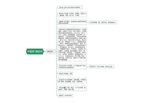 中医药-佛肚花
