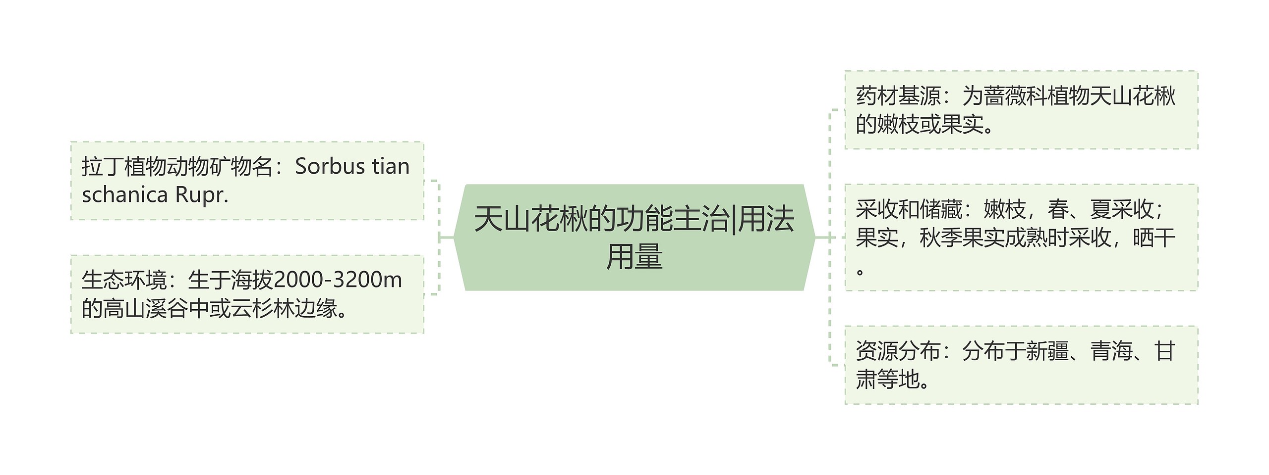 天山花楸的功能主治|用法用量思维导图