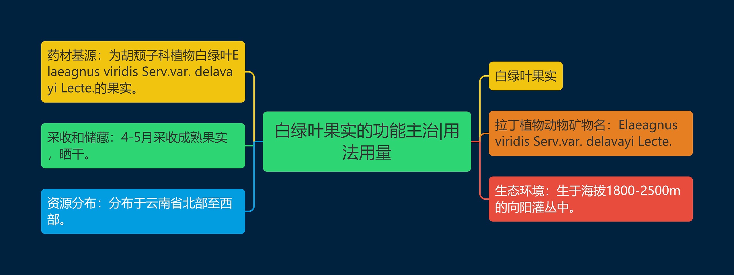 白绿叶果实的功能主治|用法用量思维导图