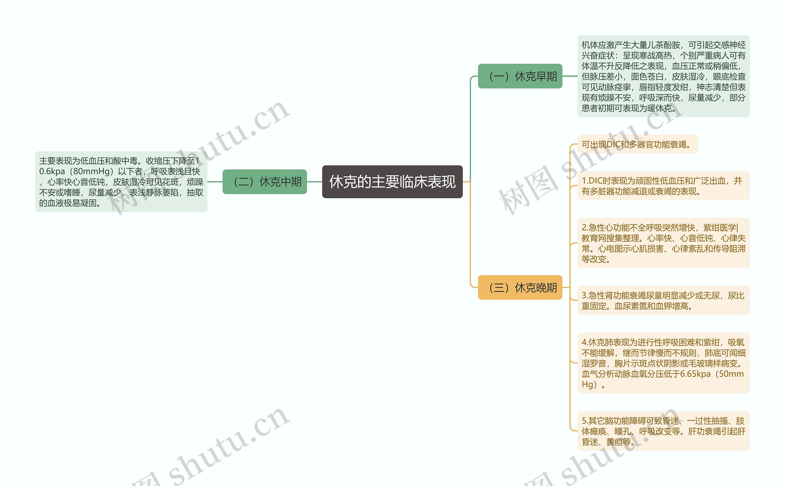 休克的主要临床表现思维导图