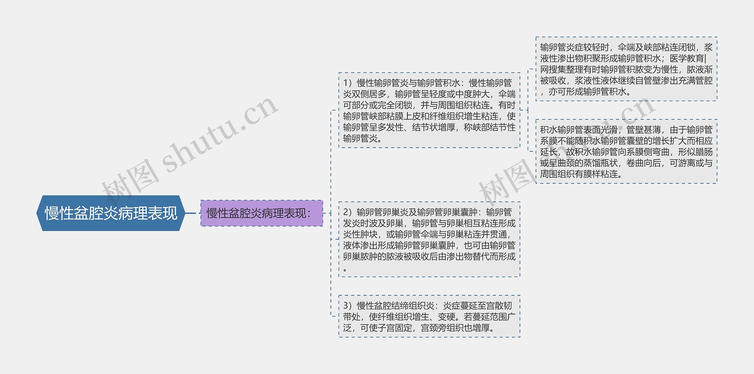 慢性盆腔炎病理表现思维导图