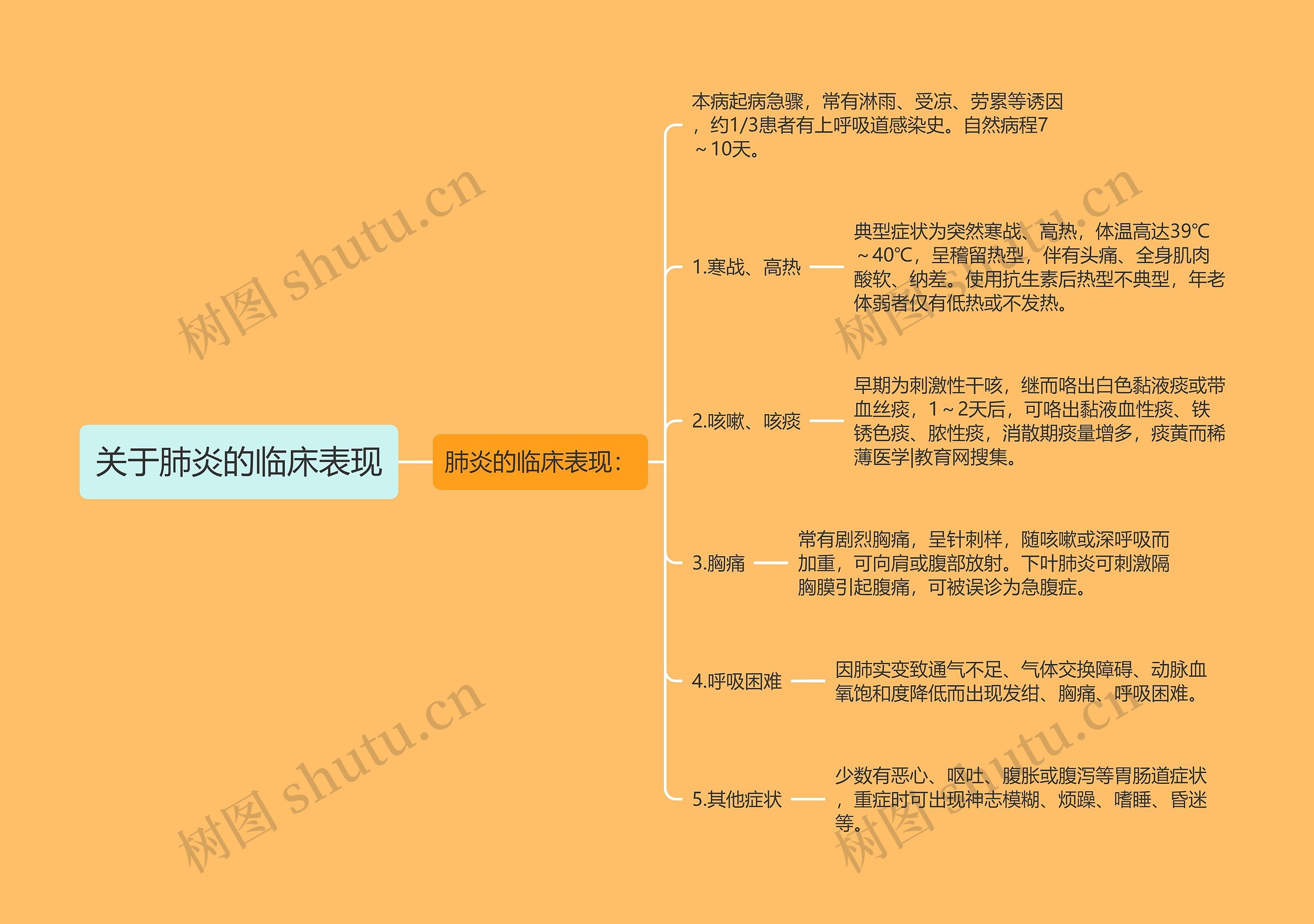 关于肺炎的临床表现思维导图