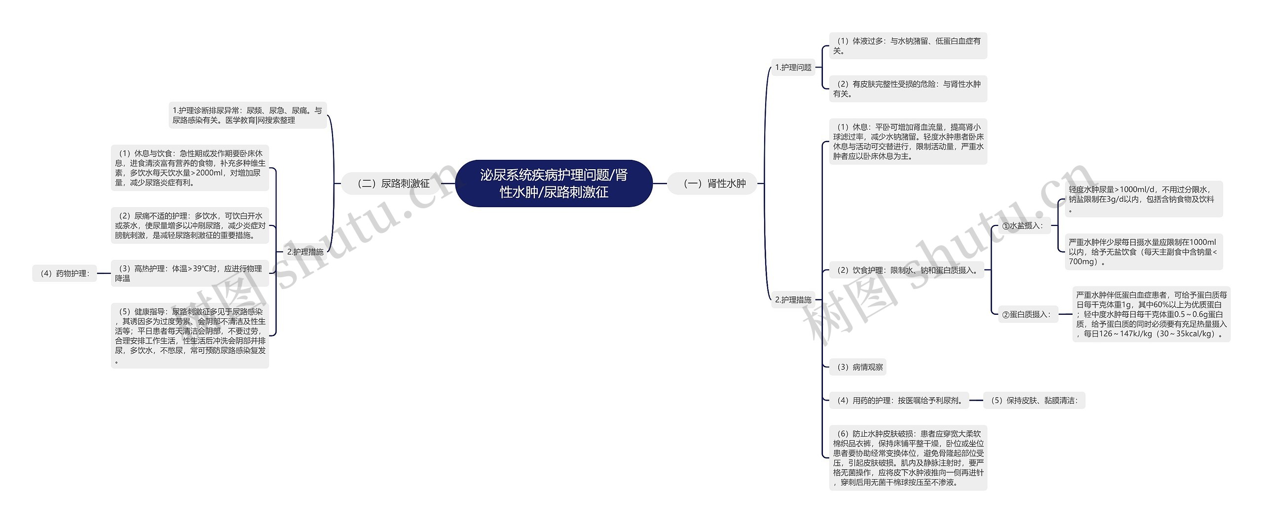 泌尿系统疾病护理问题/肾性水肿/尿路刺激征