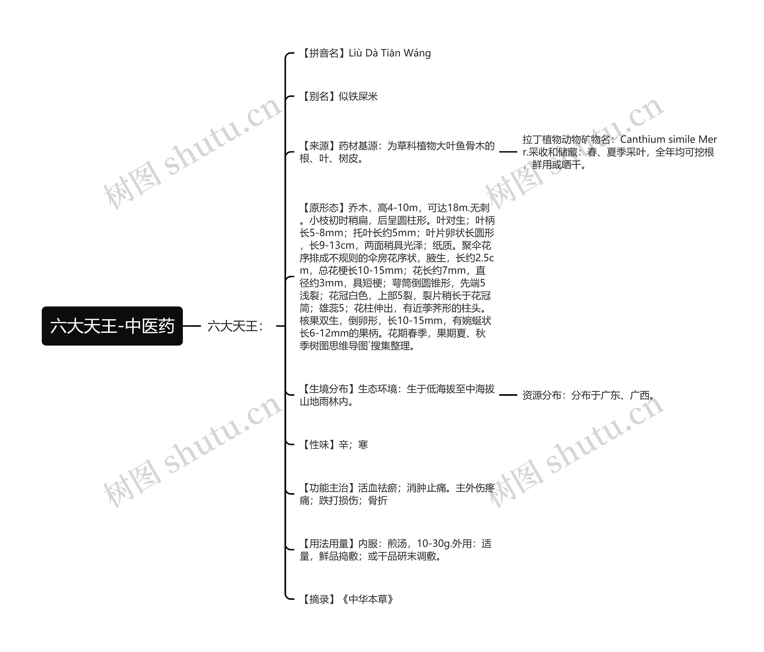 六大天王-中医药 六大天王-中医药