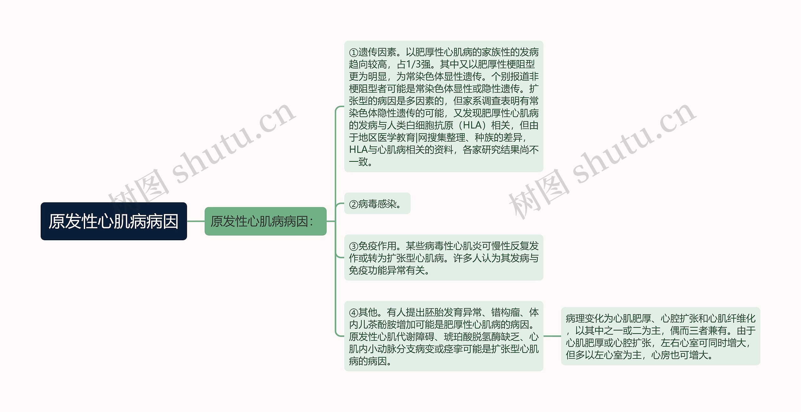 原发性心肌病病因思维导图