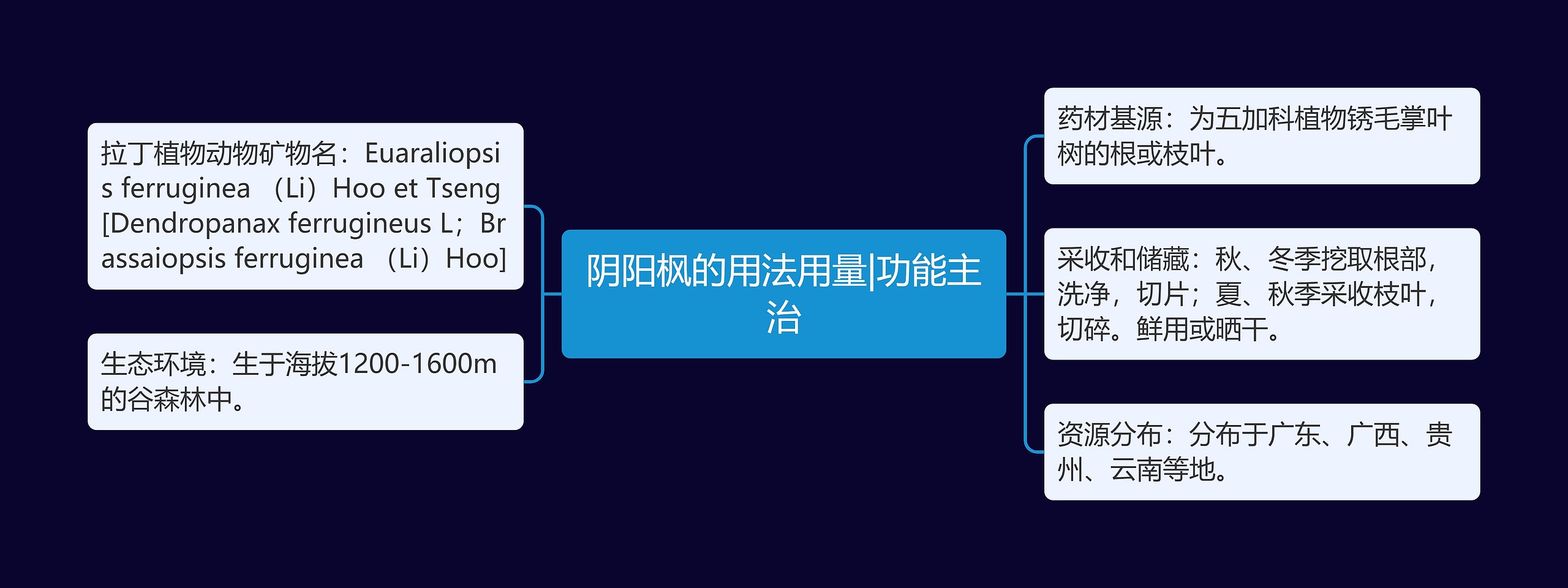 阴阳枫的用法用量|功能主治思维导图