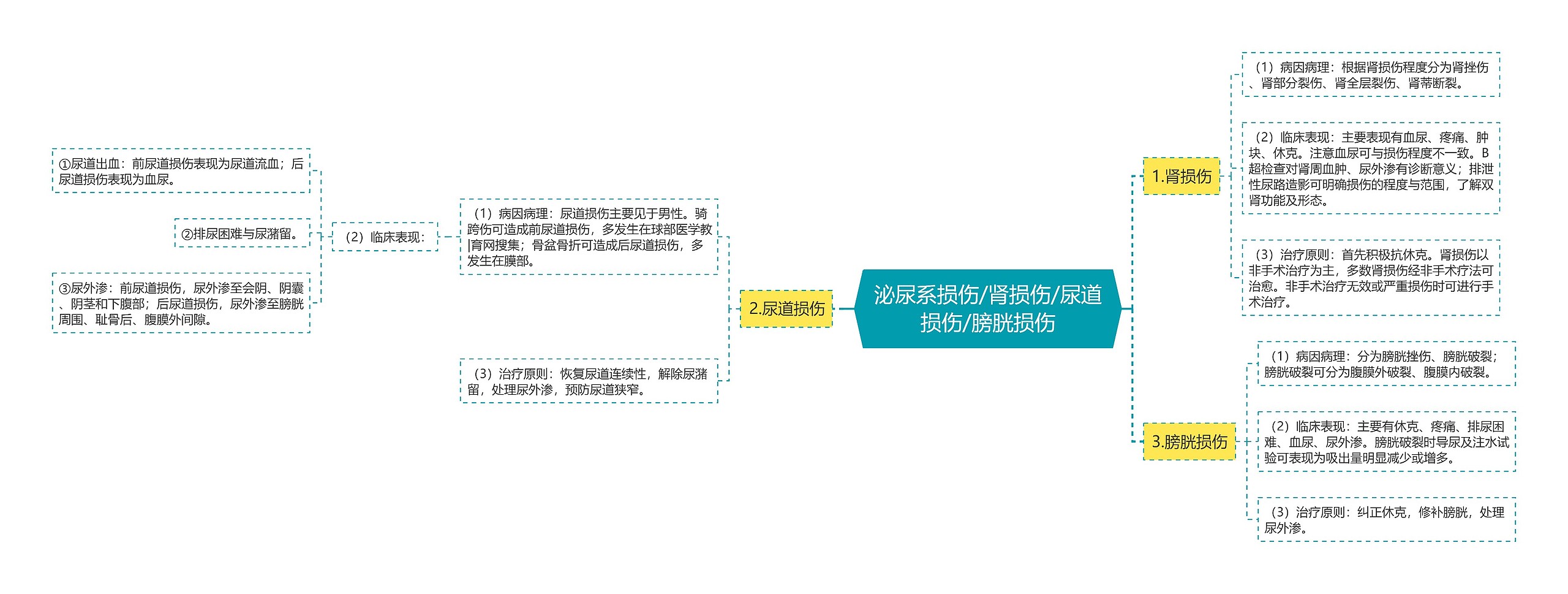 泌尿系损伤/肾损伤/尿道损伤/膀胱损伤 泌尿系损伤/肾损伤/尿道损伤/膀胱损伤