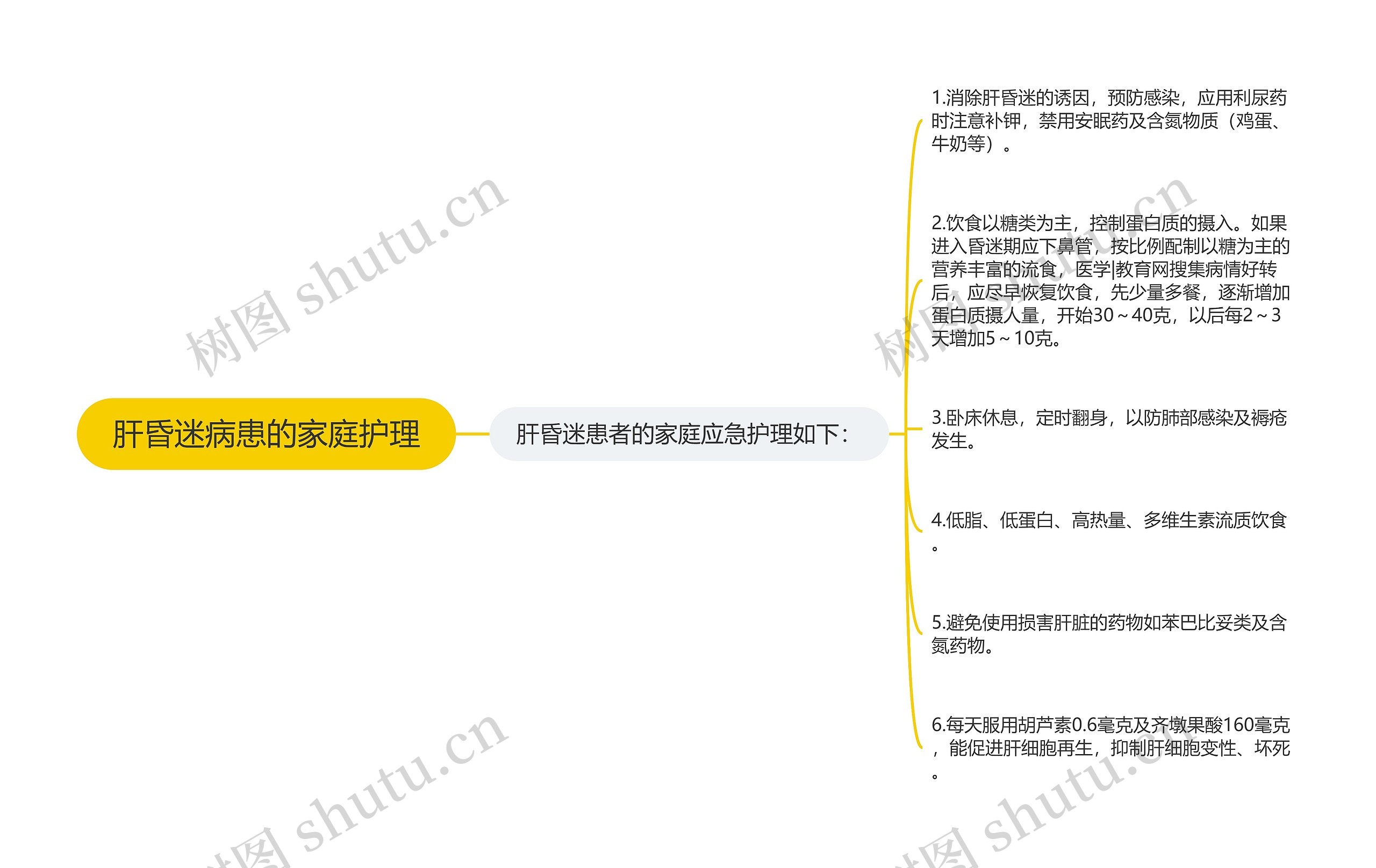 肝昏迷病患的家庭护理思维导图