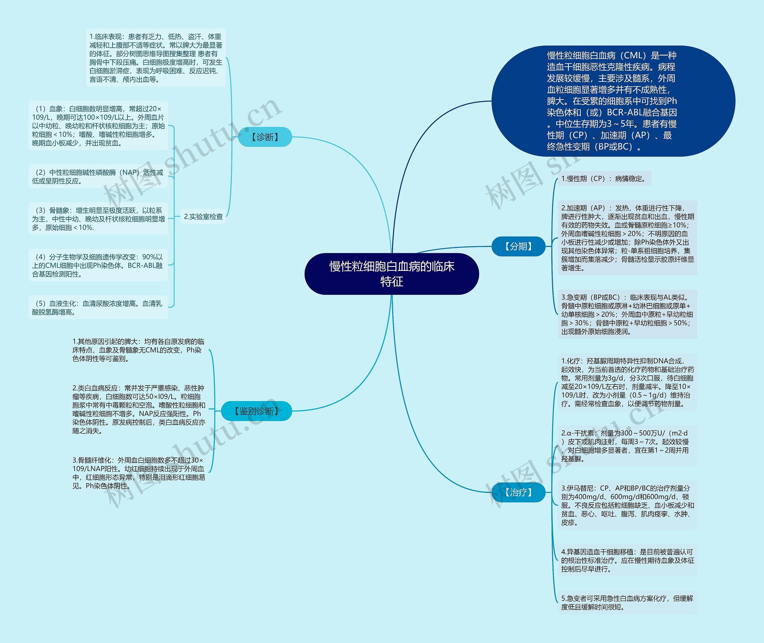 慢性粒细胞白血病的临床特征思维导图