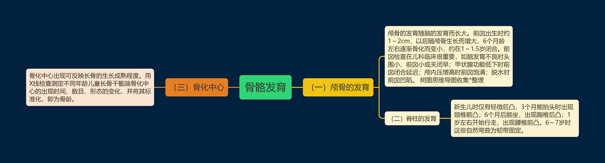 骨骼发育思维导图