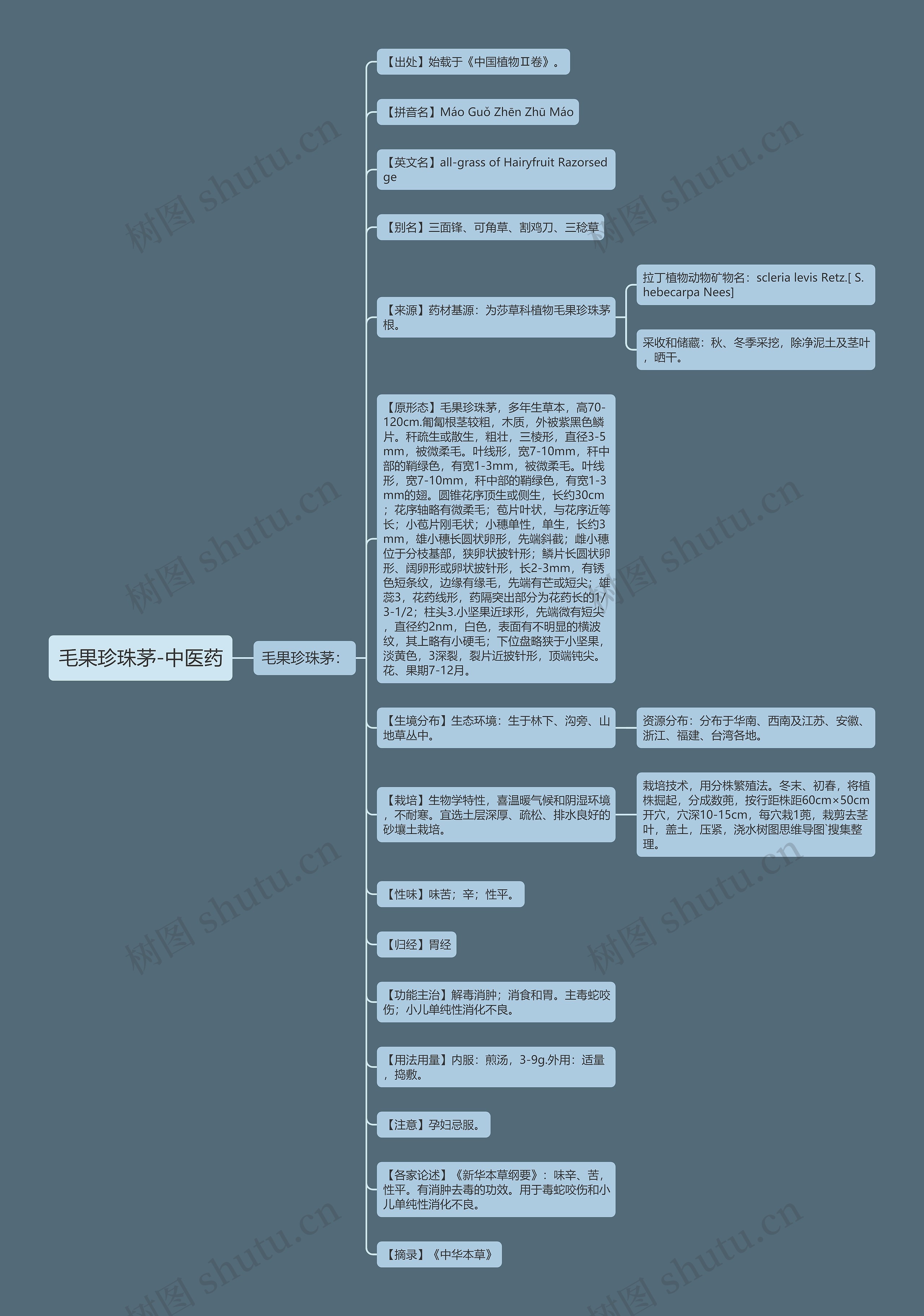 毛果珍珠茅-中医药思维导图