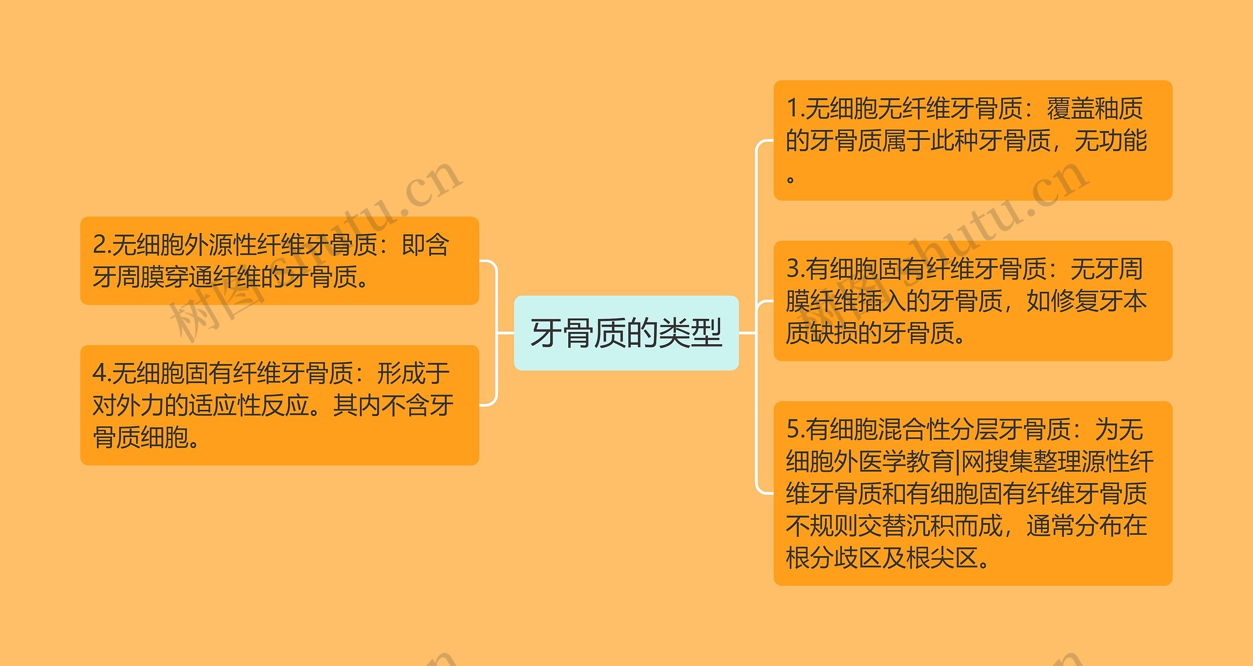 牙骨质的类型