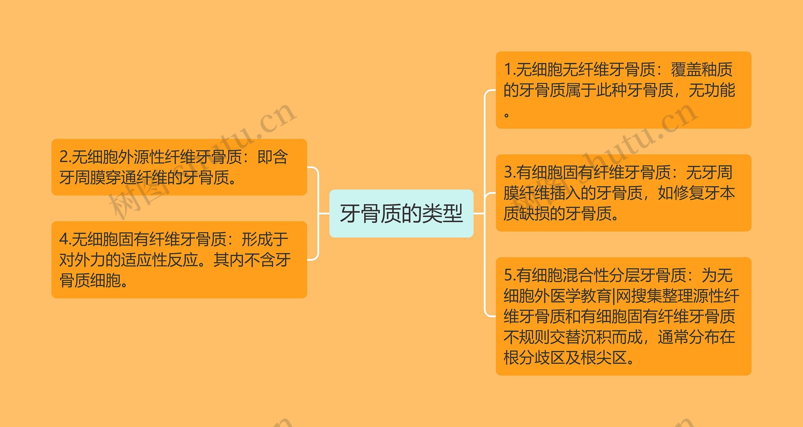 牙骨质的类型思维导图