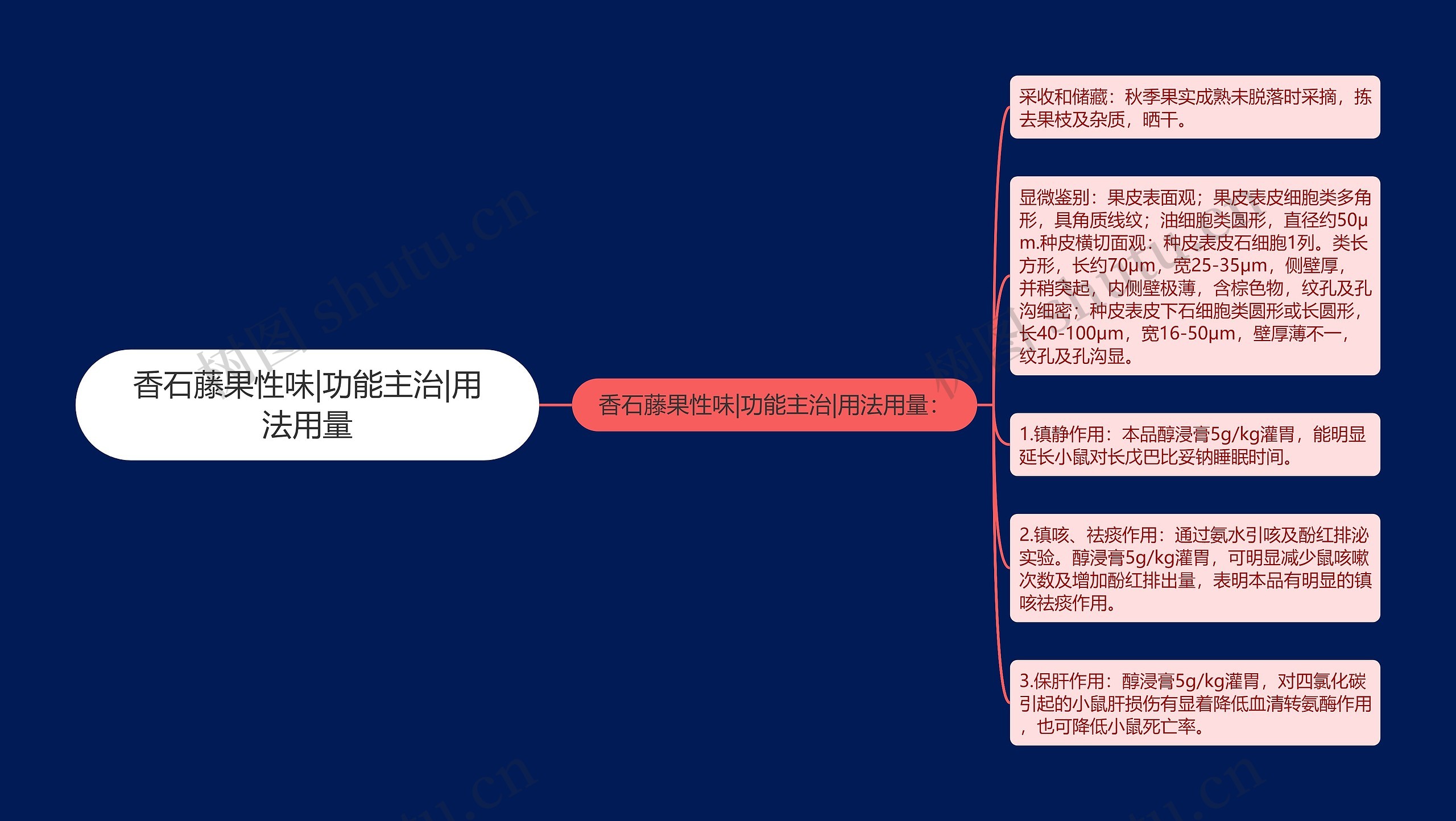 香石藤果性味|功能主治|用法用量