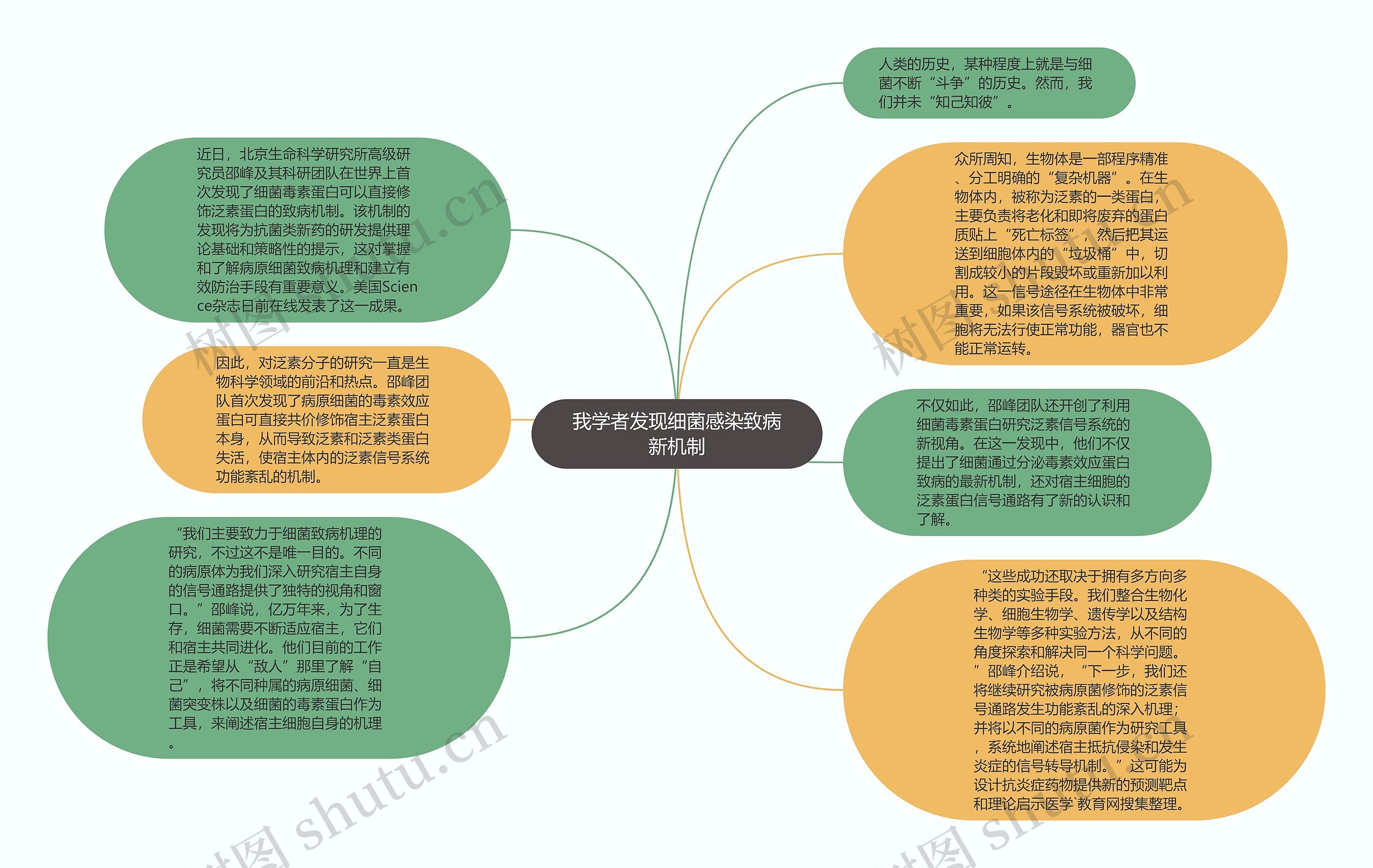 我学者发现细菌感染致病新机制思维导图