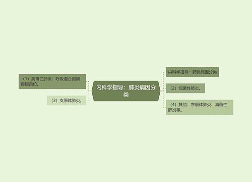 内科学指导：肺炎病因分类