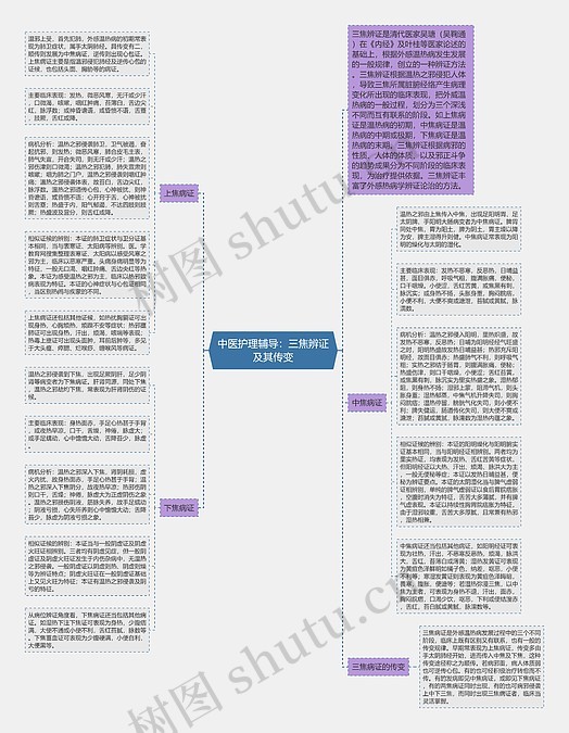 中医护理辅导：三焦辨证及其传变思维导图_编号p6881181-TreeMind树图