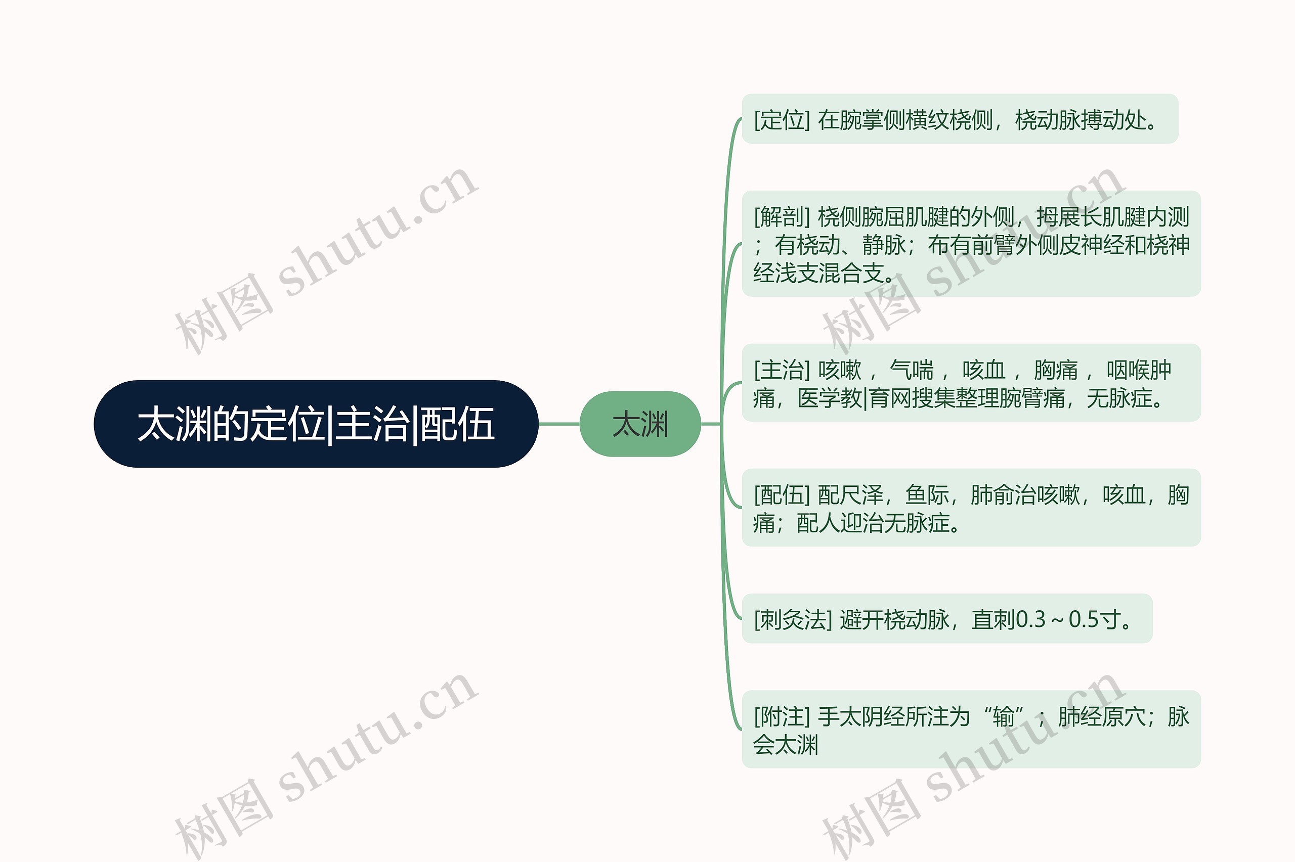 太渊的定位|主治|配伍思维导图